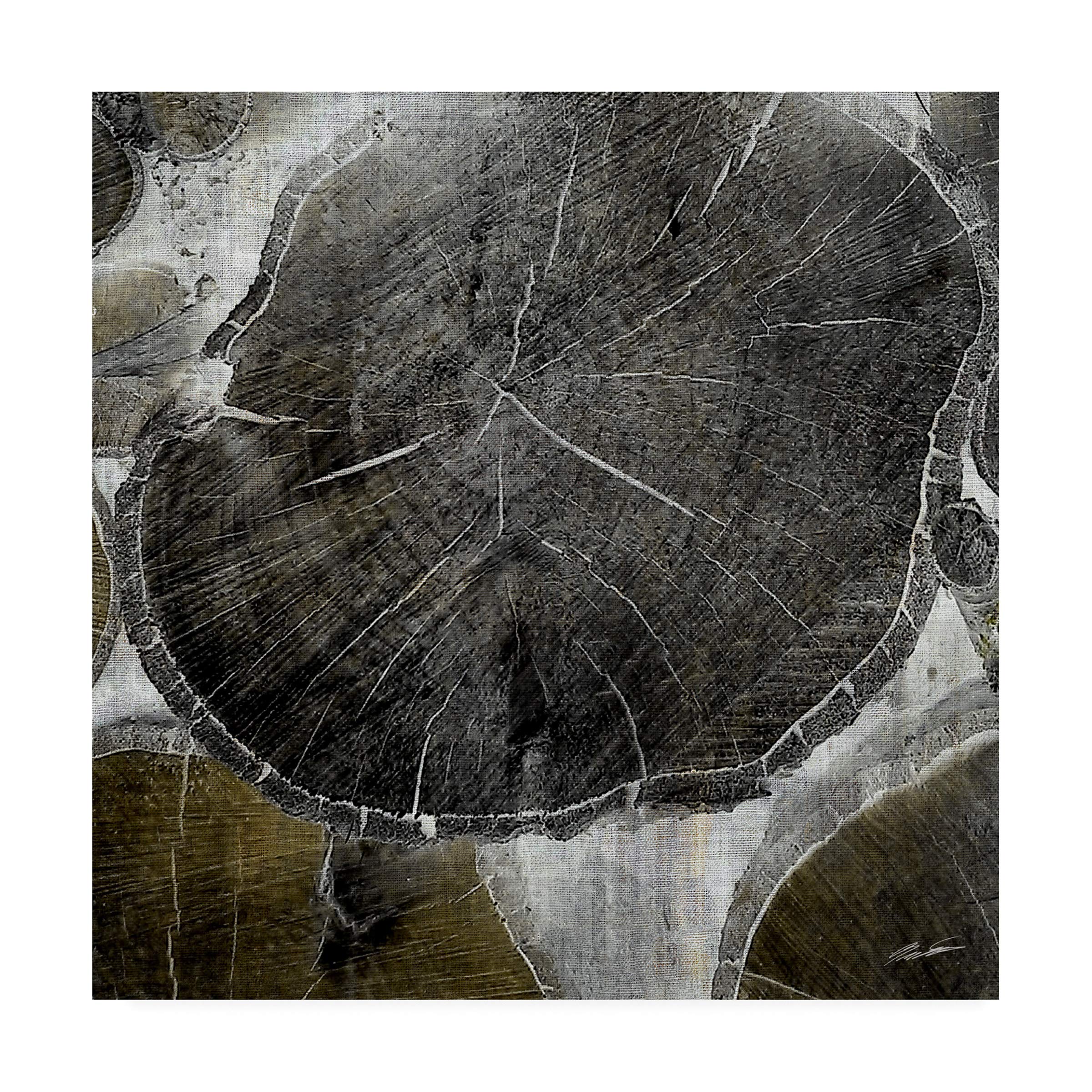 John Butler Logging IV Fine Art Print - 35x35 Inches - Premium Canvas Wall Decor for Living Room, Bedroom & Office