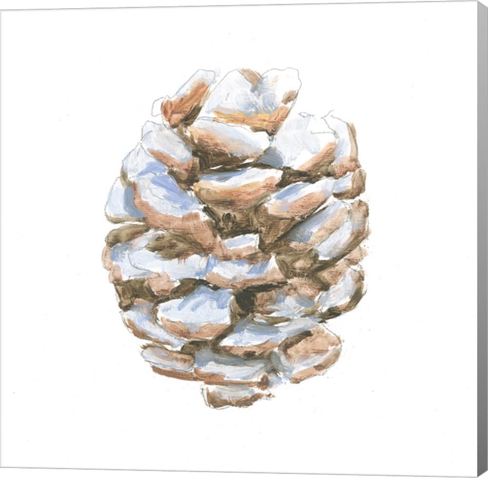 Into The Woods Pinecone I by Emily Adams - 16x16 Inch Canvas Wall Art, Gallery Wrapped, Nature Inspired Home Decor for Living Room, Bedroom & Office