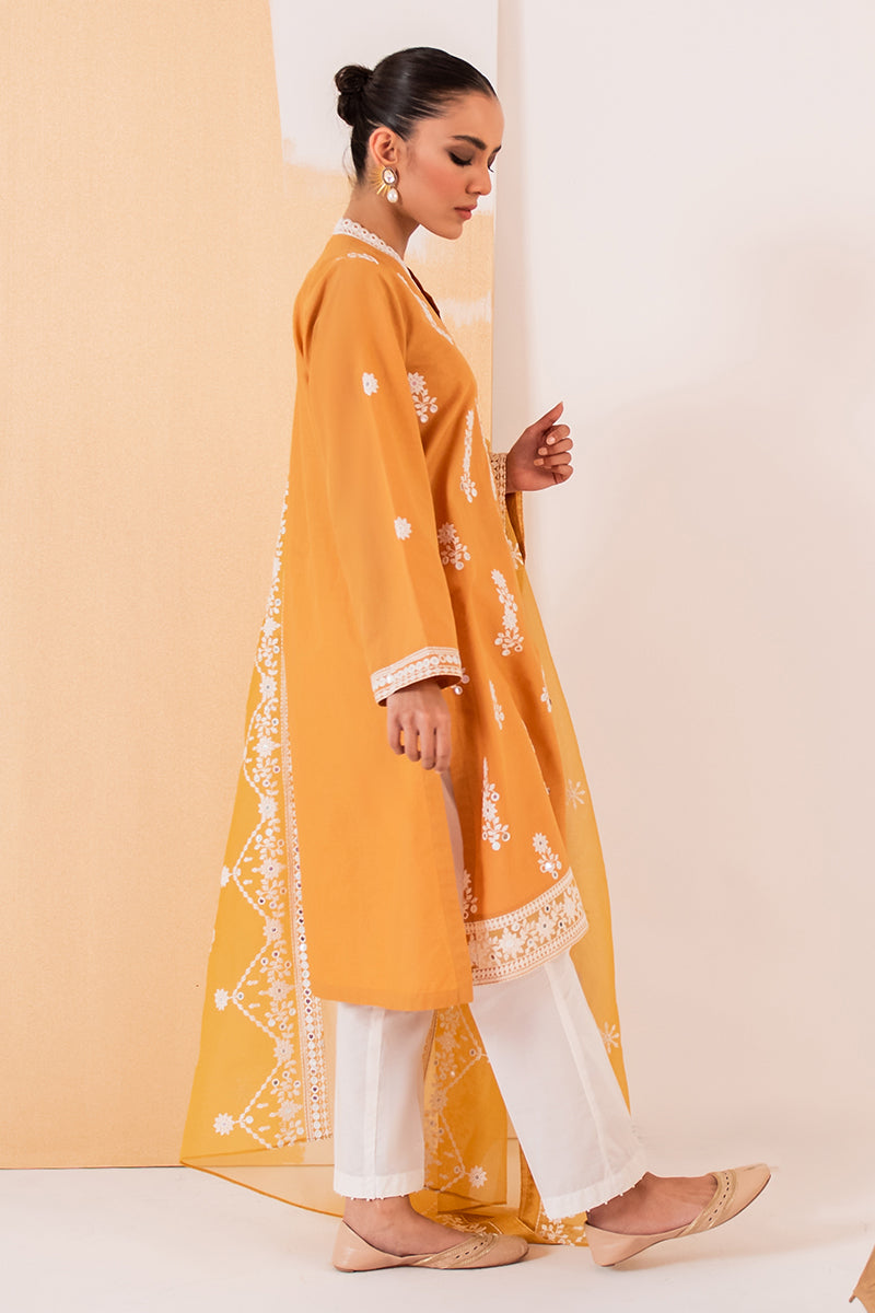 HAZEL WOOD 2-Piece Set (Shirt & Dupatta) - Stylish Ethnic Outfit for Women | Perfect for Festivals, Weddings & Special Occasions