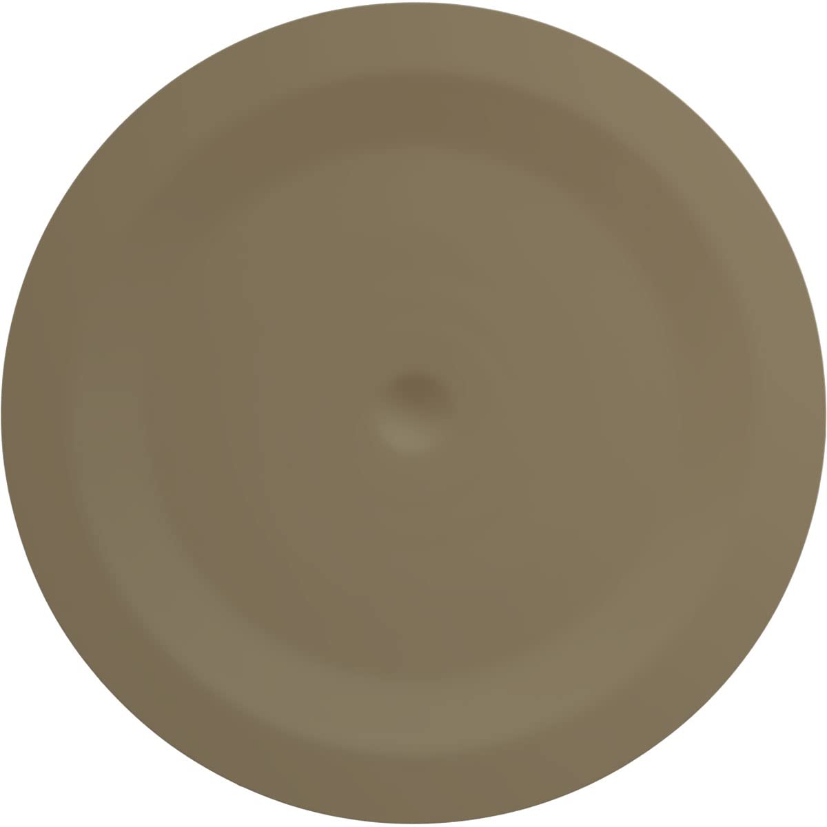 Ekena Millwork CM24REPCF Traditional Reece Ceiling Medallion - 24 3/8