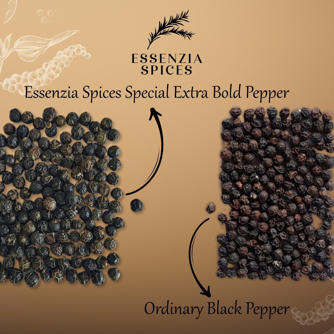 ESSENZIA SPICES Premium Tellicherry Black Pepper - World's No.1 Grade TGSEB (Extra Bold & Large) | 100% Organic, Fresh Hand-Picked Peppercorns | 100g | Perfect for Gourmet Cooking, Steak Seasoning & Homemade Spice Blends