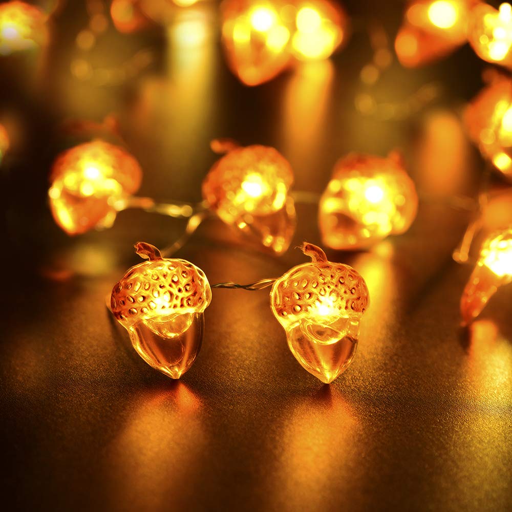 BOHON 10ft 40 LED Acorn String Lights with Remote - Battery Operated Fairy Lights for Thanksgiving, Fall, Christmas & Halloween Decor - Perfect for Home, Bedroom, Tree, Garland and Party Decorations