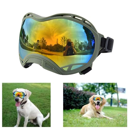 Green Frame &Colored Lens/Large