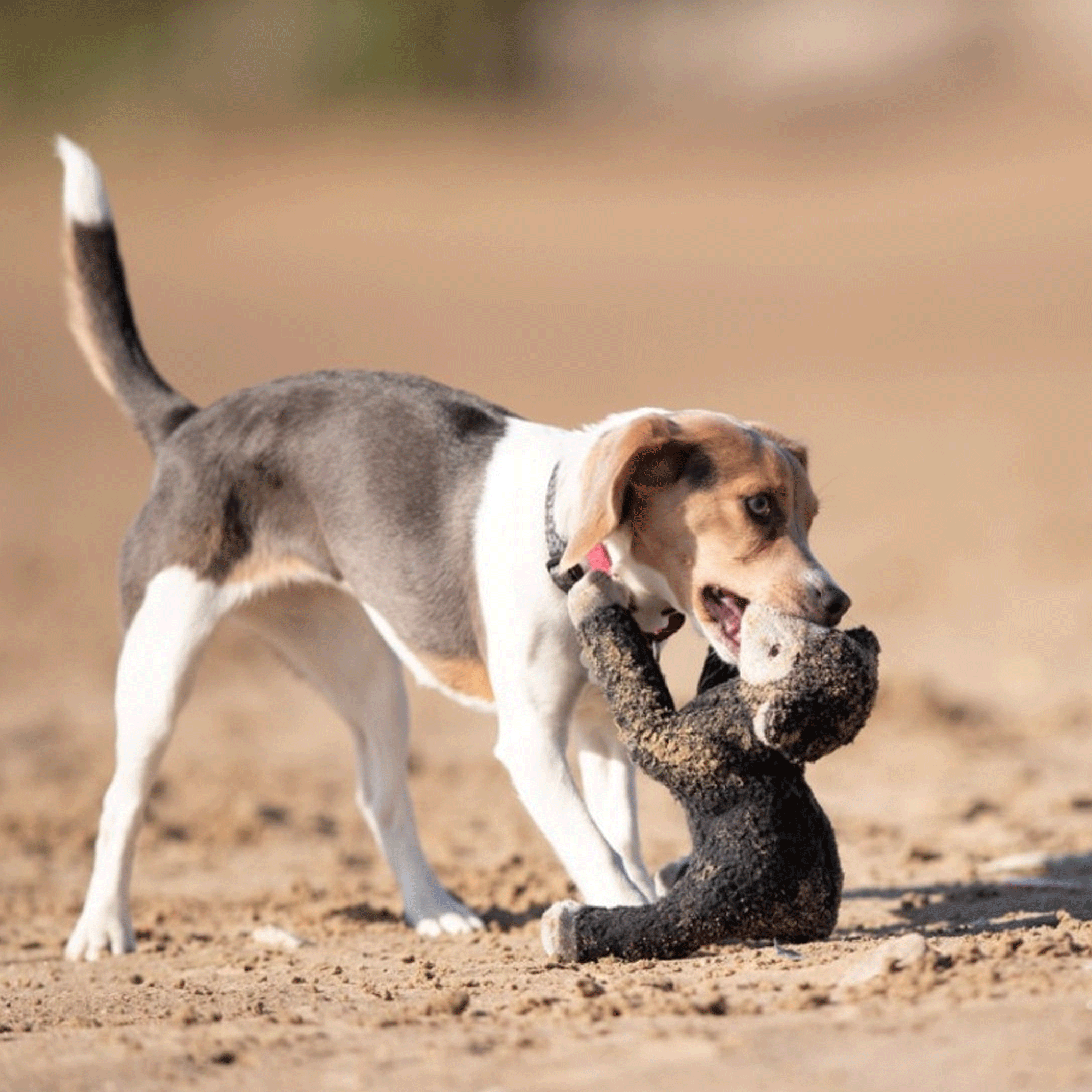 Fluff & Tuff Mary Lamb Dog Toy - Durable Plush Chew Toy for Small & Medium Dogs - Perfect for Indoor Play, Training & Cuddling