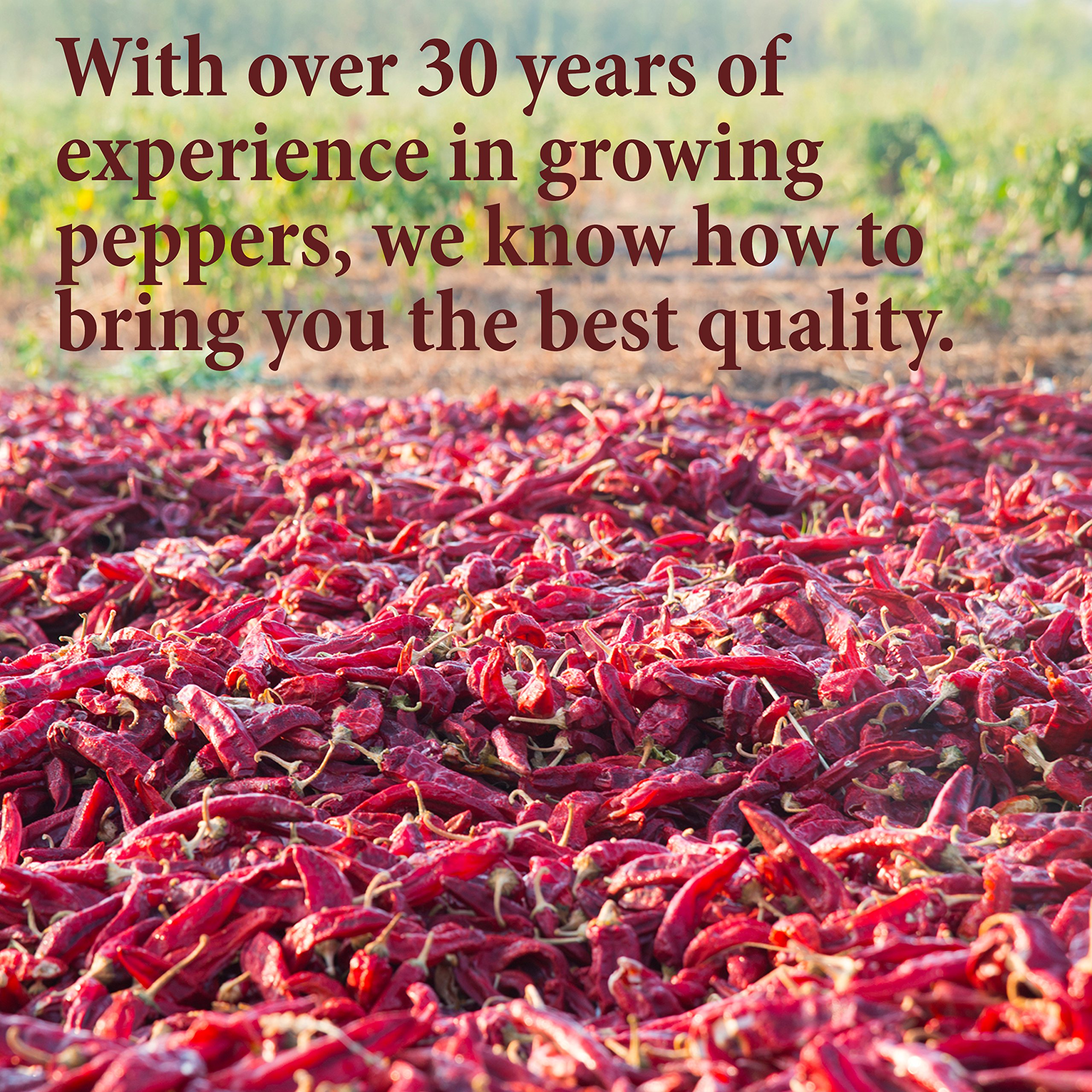 Premium Ground Chipotle Powder - 4 oz Resealable Bag | Smoky & Spicy Mexican Chili Pepper | Perfect for BBQ, Tacos, Chili & Seasoning | The Spice Way
