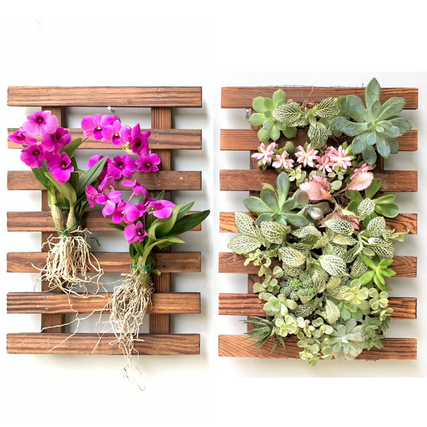 2 Pack Wooden Wall Planter for Orchids, Air Plants & Succulents - 15.7