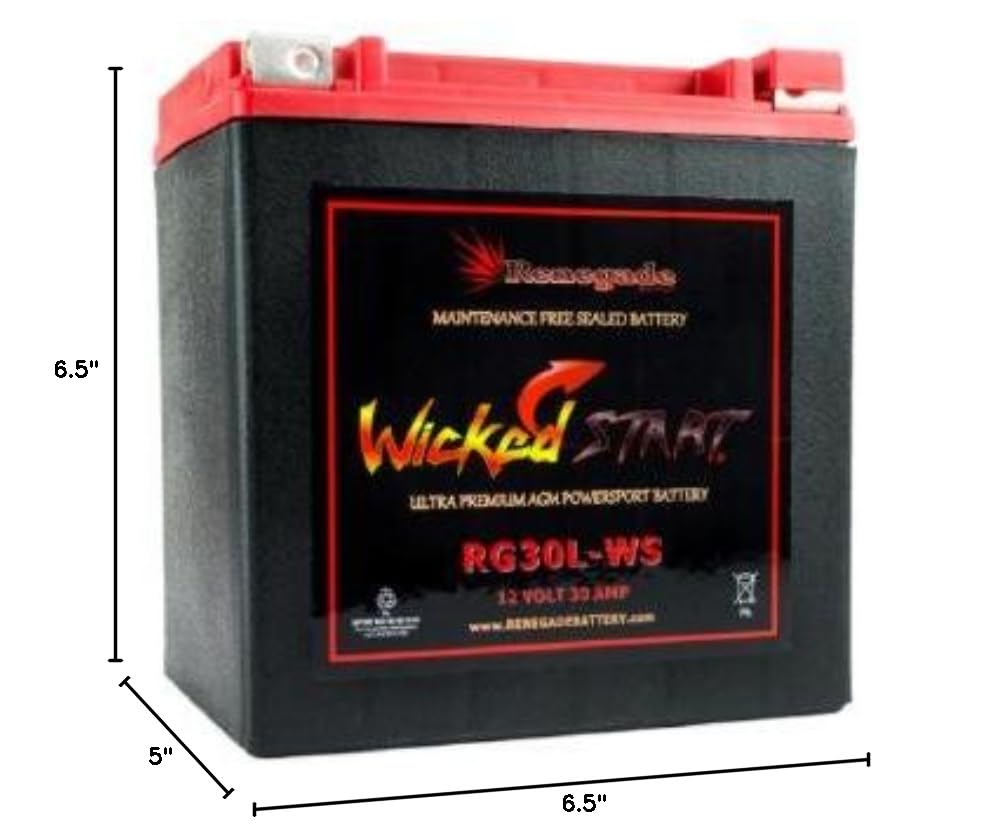RG30L-WS Wicked Start 600+ CCA Car Battery - High Performance Replacement Battery for Cars, Trucks & SUVs | Cold Cranking Amps for Reliable Starts in Winter & Extreme Weather