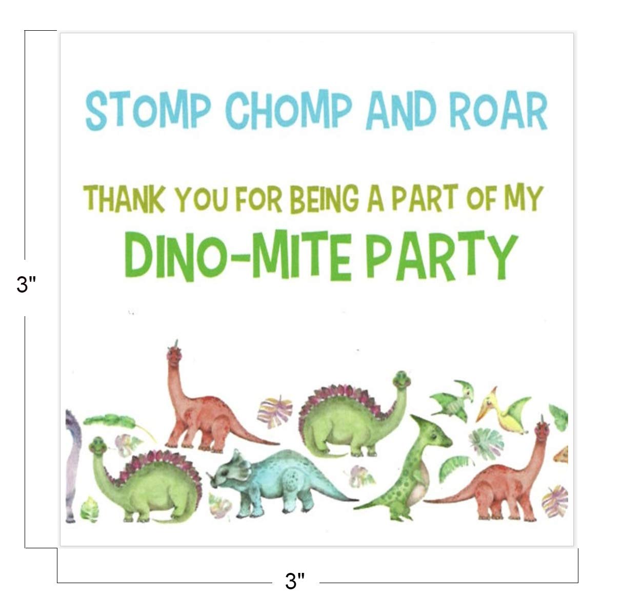Dinosaur Thank You Stickers for Birthday Party Favors - 3x3 Inch Pack of 40 - Perfect for Goodie Bags, Gift Boxes & DIY Projects | Cute Dino Theme Party Supplies for Kids