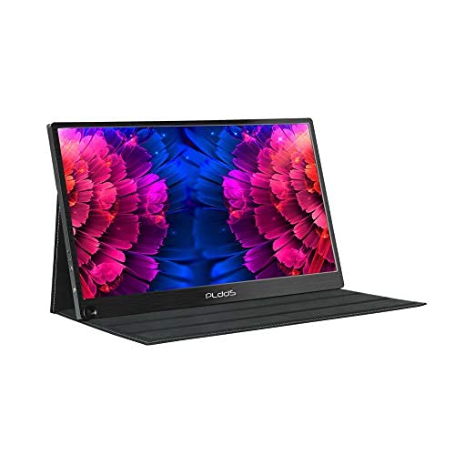 PLDDS 13.3 Inch Portable Monitor - 2560×1440 2K IPS Screen Gaming Display with Type-C & Mini HDMI for Laptop, PC, PS4, Xbox, MAC, Phone - Perfect for Travel, Work & Gaming