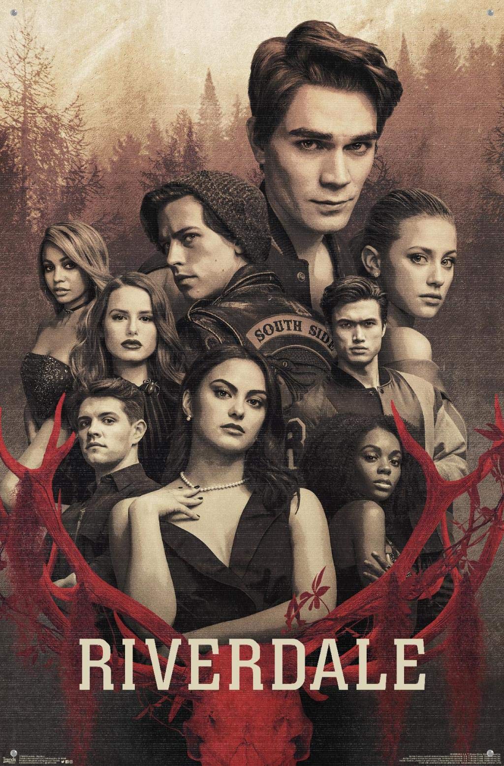 Trends International Riverdale Mystery Wall Poster with Push Pins - Premium Decor for Bedroom, Dorm & Office | Perfect Gift for TV Show Fans