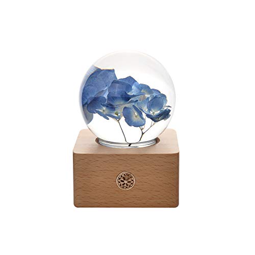 7-blue_hydrangea
