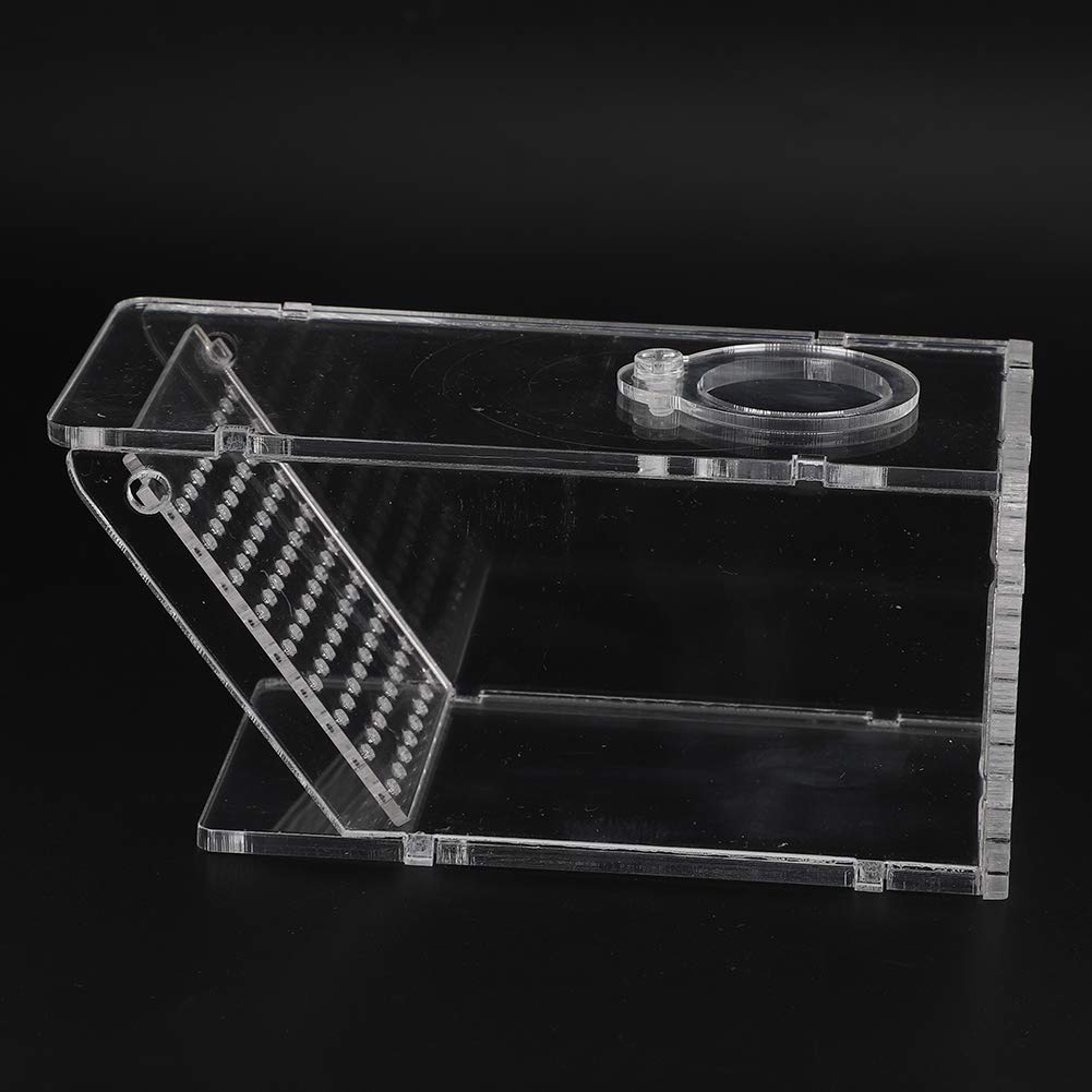 **Transparent Acrylic Crab & Fish Trap - Mini Freshwater Aquarium Catcher Box for Lobster, Shrimp, Minnows, Crawfish - Perfect for Home Aquariums, Fishing Bait & Snail Control**