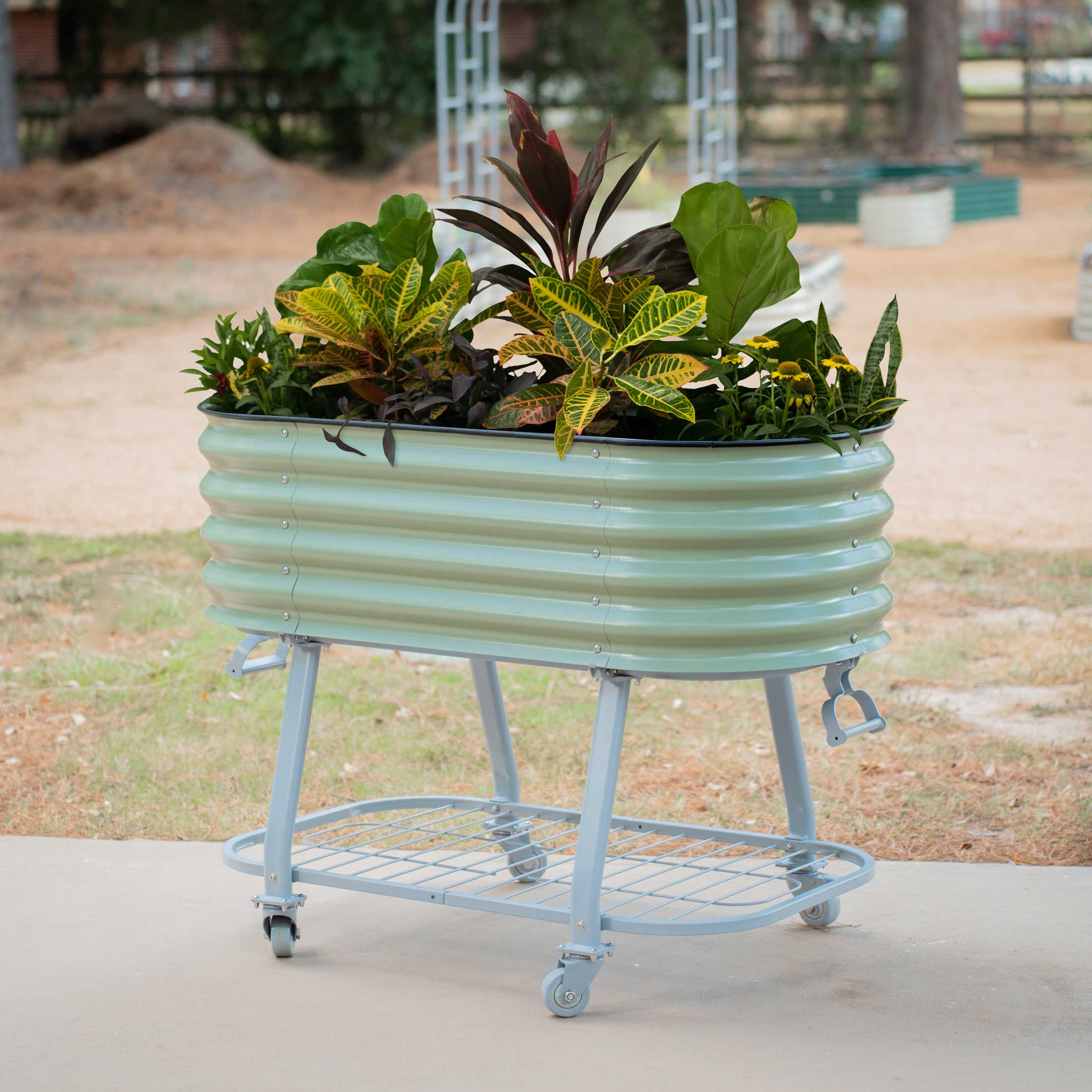 Self-Watering Elevated Garden Bed with Wheels - Mobile Raised Planter Box for Vegetables, Herbs & Flowers - Perfect for Patio, Balcony & Small Space Gardening