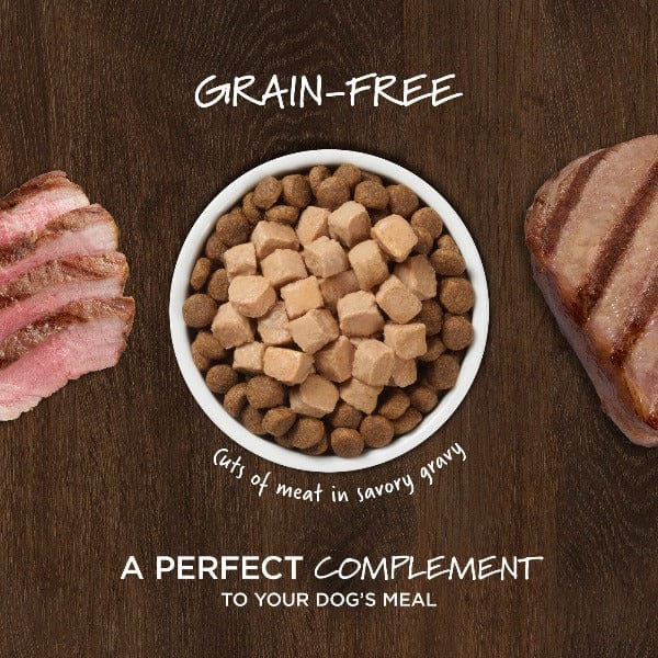 Instinct Healthy Cravings Real Lamb Recipe Grain-Free Wet Dog Food Pouch - High Protein Natural Meal for Adult Dogs - Perfect for Travel, Hiking & On-the-Go Feeding