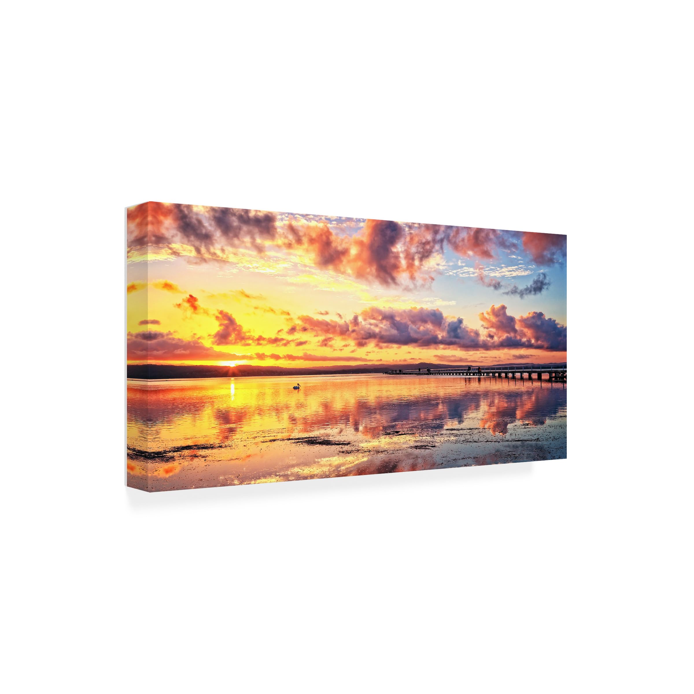 Trademark Fine Art 'Tonight's Show' Canvas Wall Art by Beata Czyzowska - Modern Home Decor for Living Room & Bedroom