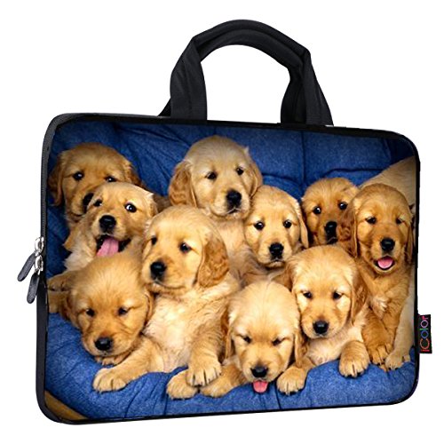 Cute Dog