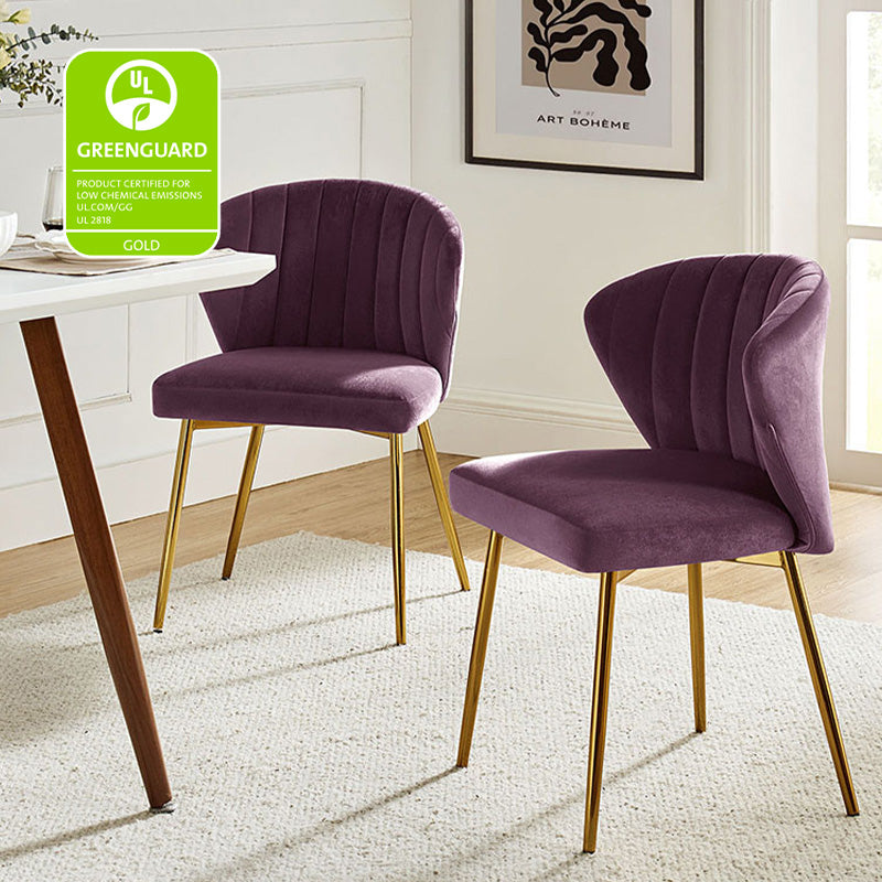 Aruna Side Chair Set - Modern Dining Chairs for Kitchen, Living Room & Office - 2-Piece Wooden Accent Chairs with Cushion - Perfect for Small Spaces, Breakfast Nook & Home Decor