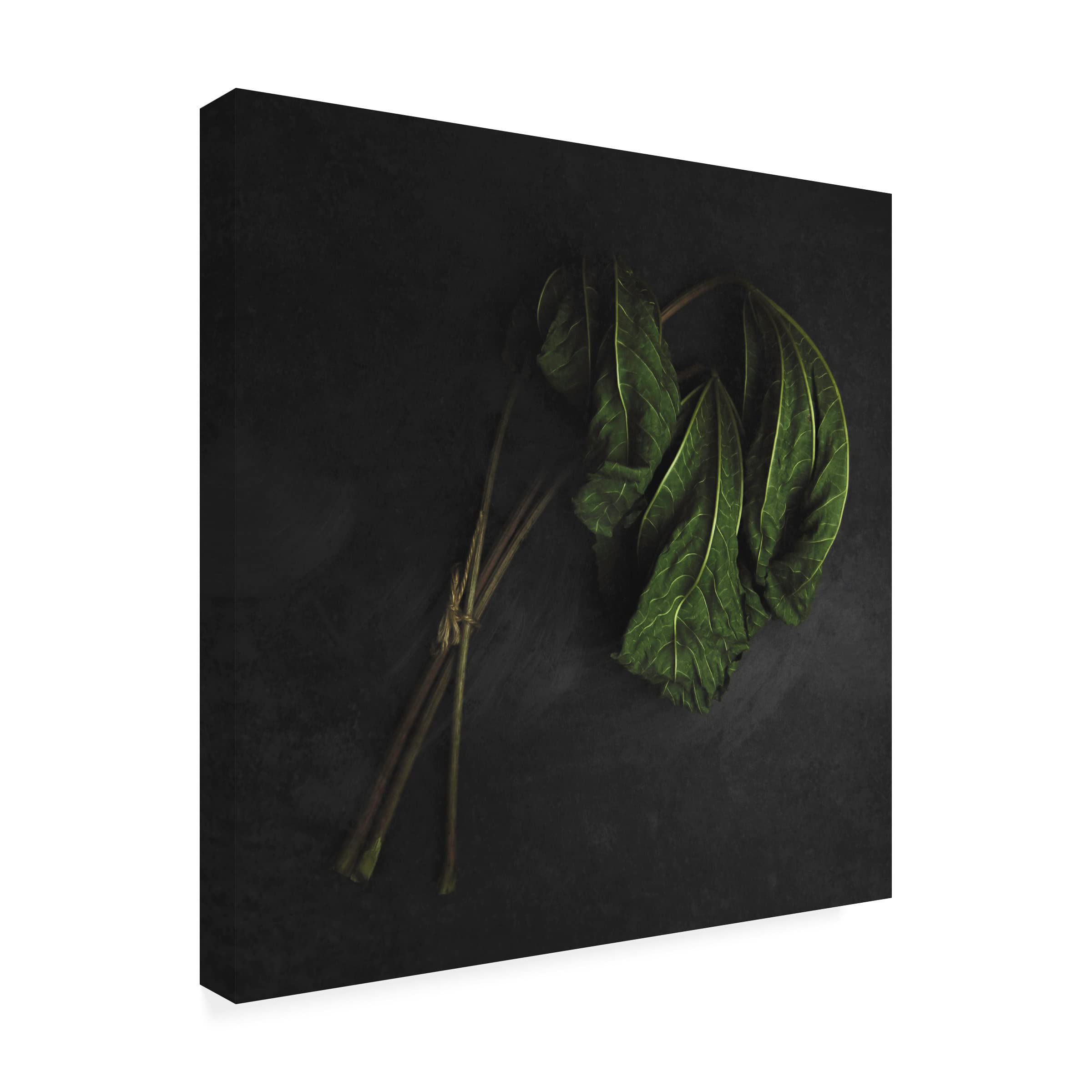 Trademark Fine Art 'The End' Canvas Print by Daniorti - Modern Abstract Wall Art for Living Room, Bedroom & Office Decor