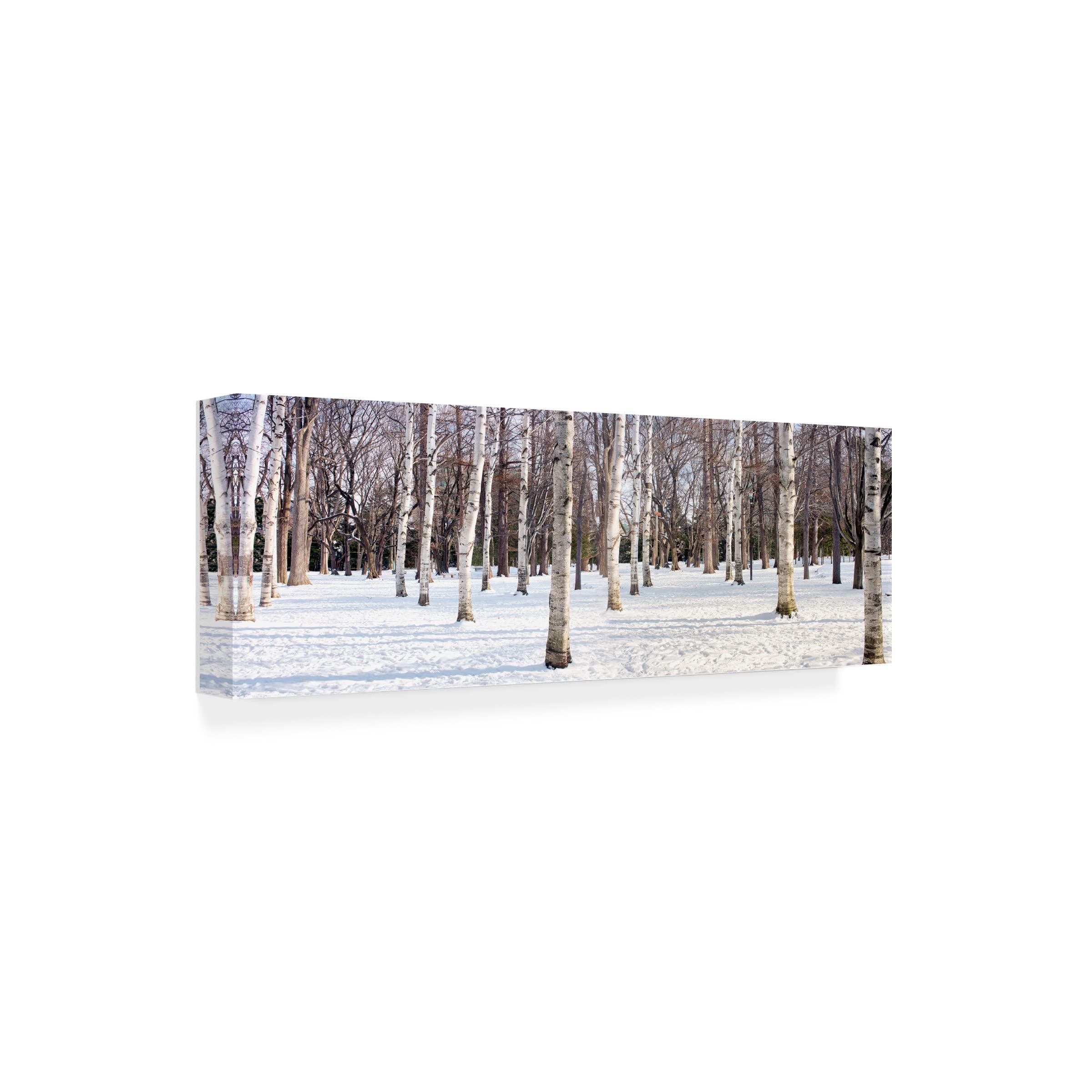 Trademark Fine Art 'Hokkaido 4' by Alan Blaustein - Stunning Japanese Landscape Canvas Wall Art for Living Room, Bedroom & Office Decor