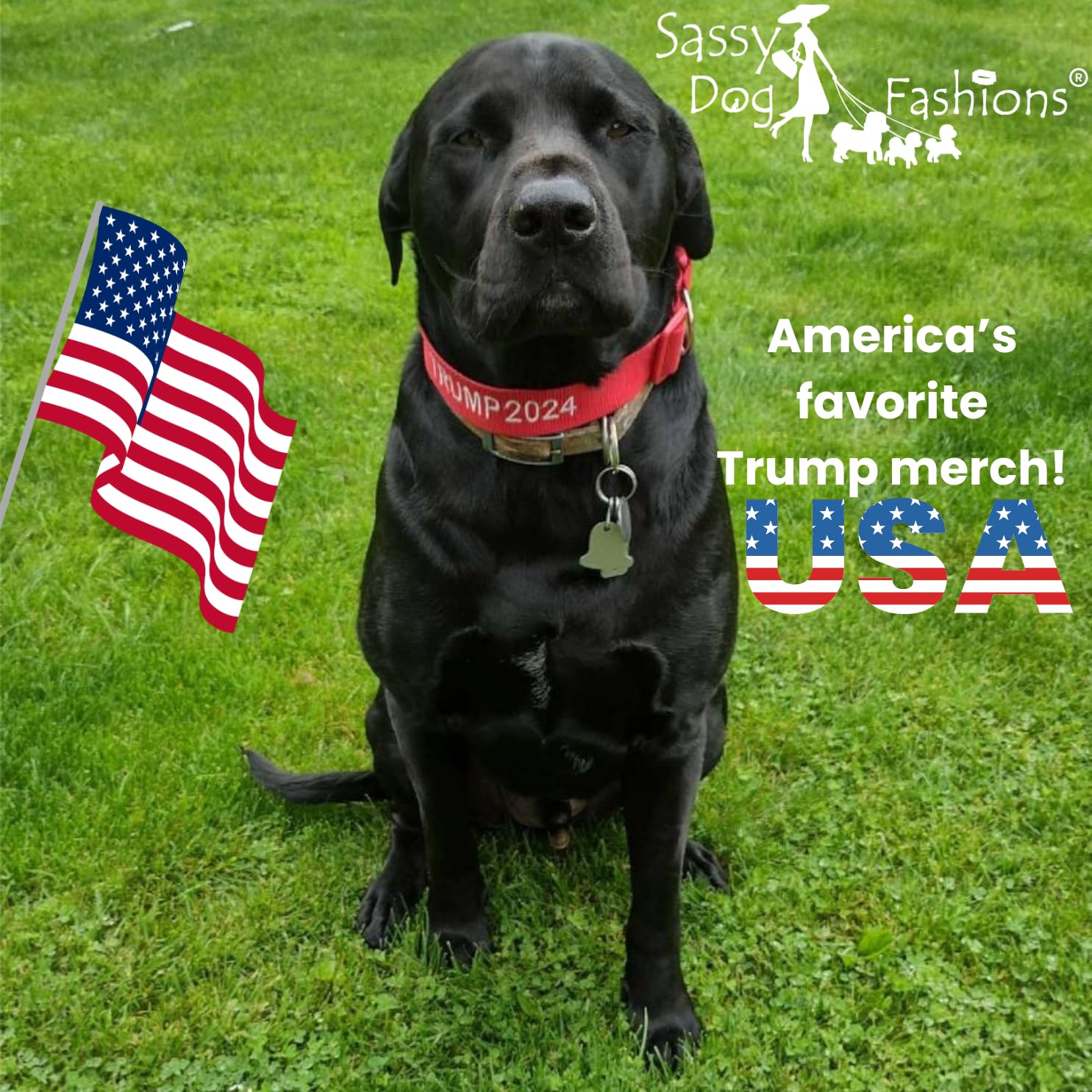 Trump 2024 Dog Collar and Leash Set - Handmade Adjustable Pet Accessories with 30 Custom Embroidery Options (S/M/L/XL) - Perfect for Christmas Gifts & Political Pet Lovers - Ideal for Walks, Campaign Events & Patriotic Pet Photos (Small 3/4