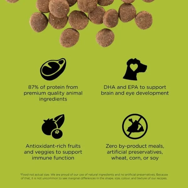 Go! Solutions Carnivore Grain-Free Dry Puppy Food - Chicken, Turkey & Duck Recipe | High-Protein Puppy Kibble for Active Dogs & Growing Puppies | Perfect for Training, Weaning & Daily Nutrition