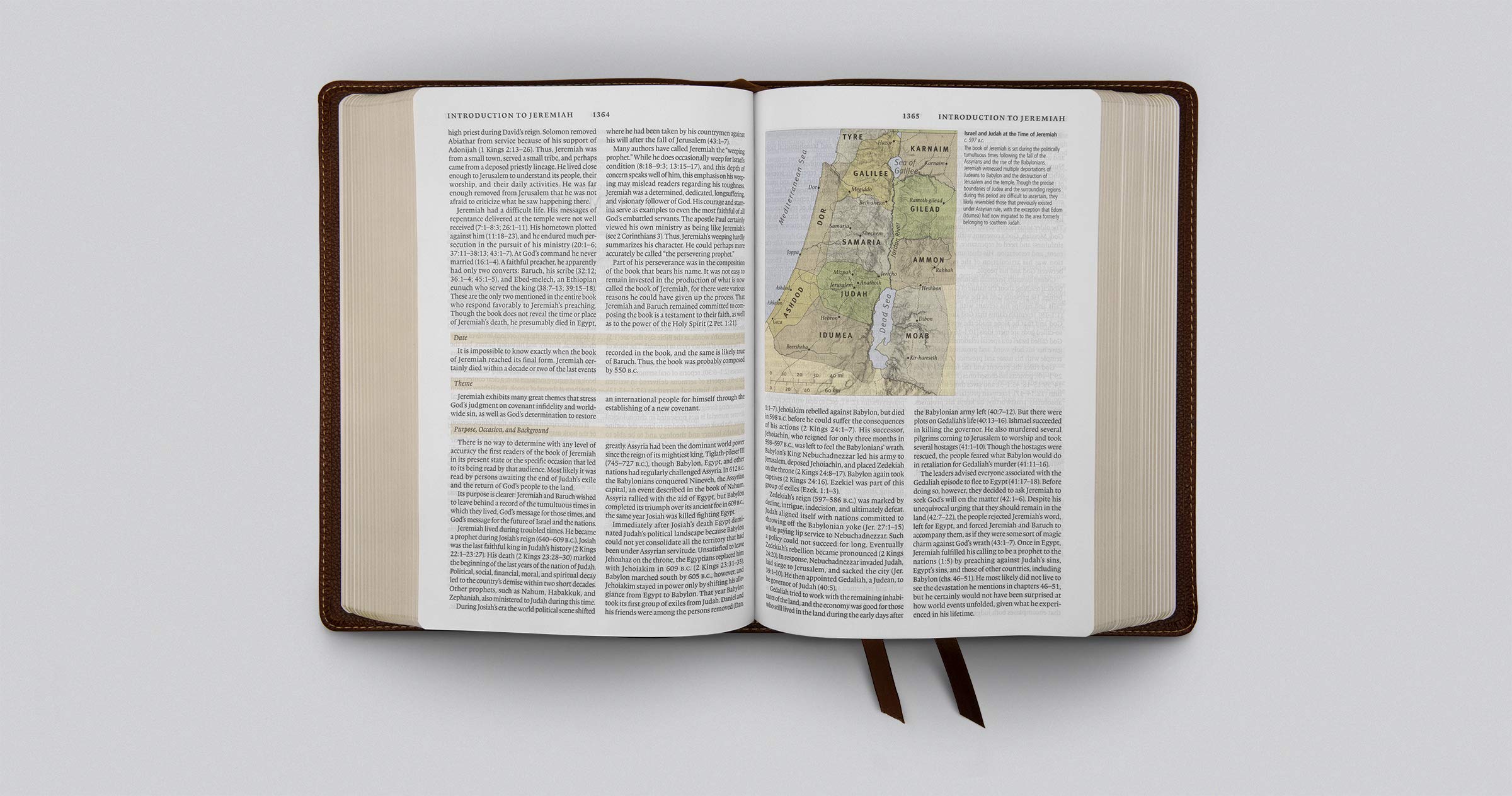 ESV Study Bible - Genuine Cowhide Leather, Deep Brown - Premium Bible for Personal Devotion, Bible Study & Church Services