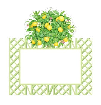 Elegant Citrus Topiary Place Cards for Weddings, Parties & Events – Handmade Table Decor with Fresh Citrus Slices
