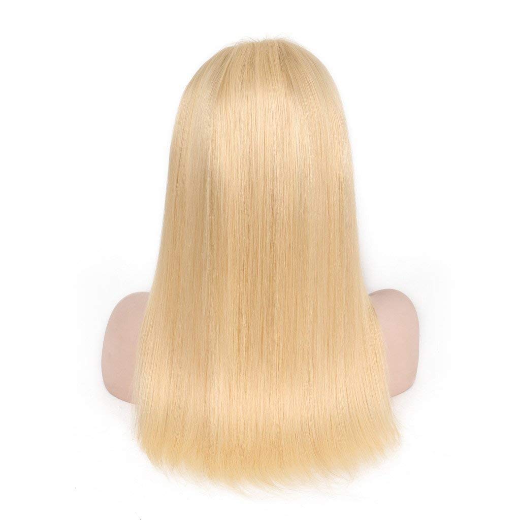 250% Density #613 Blonde Lace Front Wig - Pre Plucked Straight Human Hair Wig for Women (20 Inch) | Natural Look for Daily Wear, Cosplay & Special Occasions