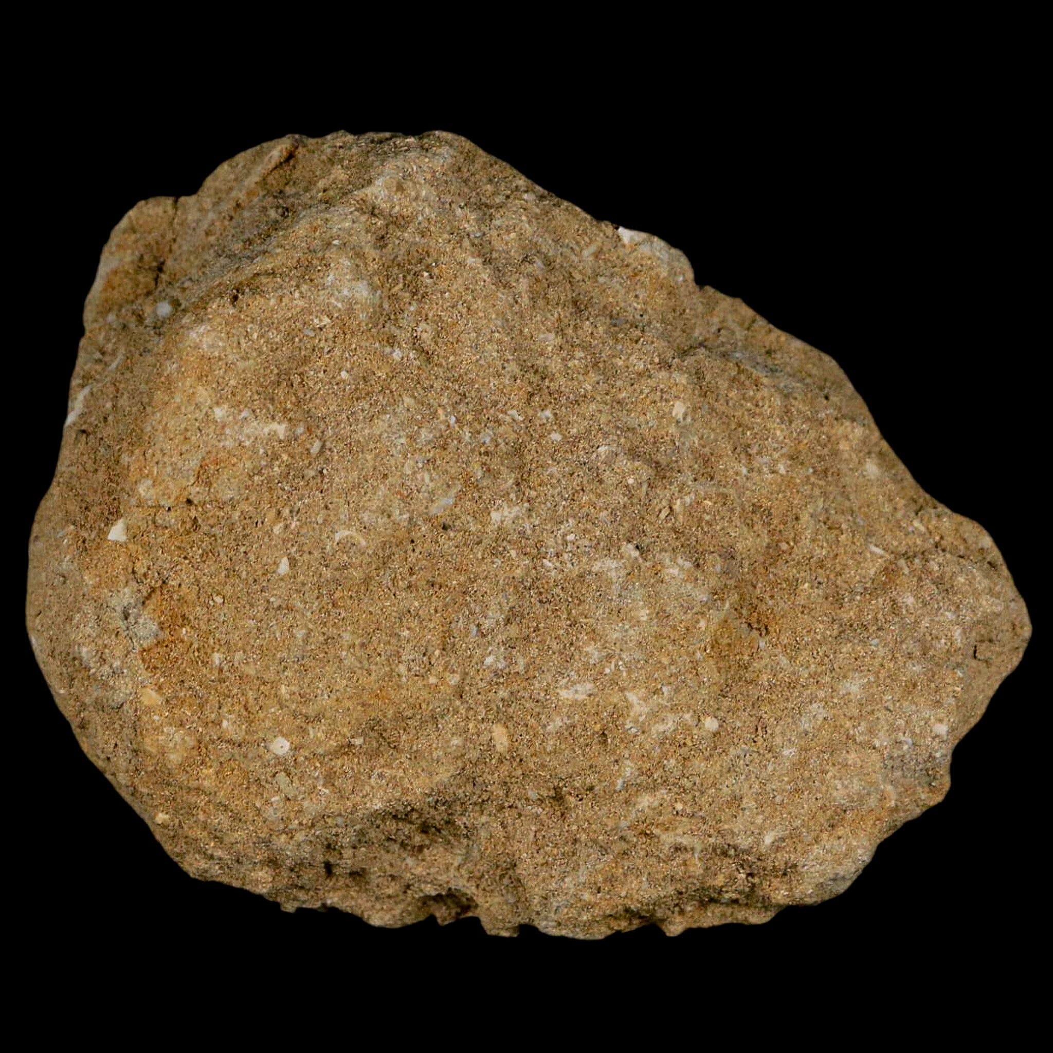 1.8