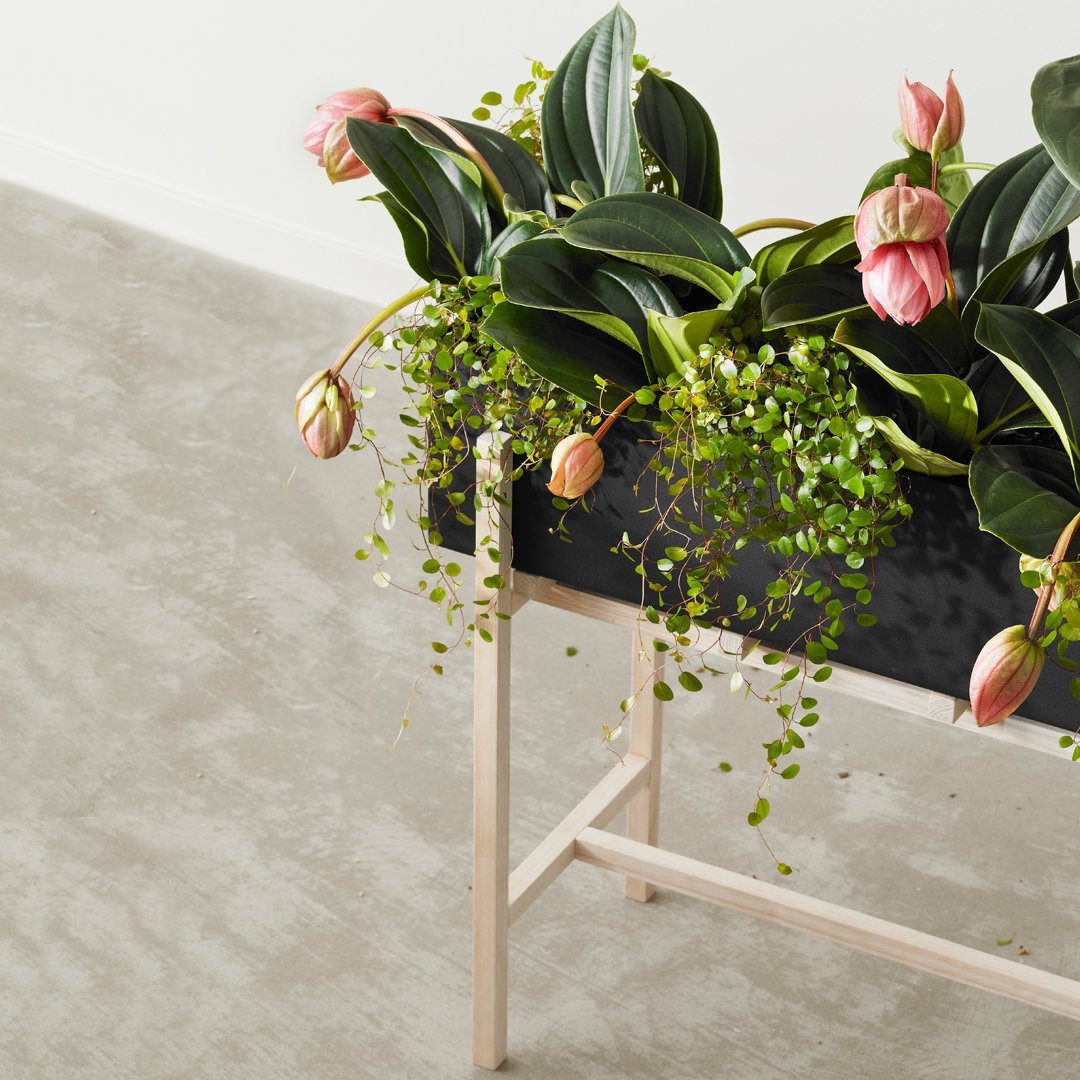 Botanic Standing Pot - Modern Decorative Plant Holder for Home & Office - Indoor & Outdoor Use for Succulents, Flowers & Herbs