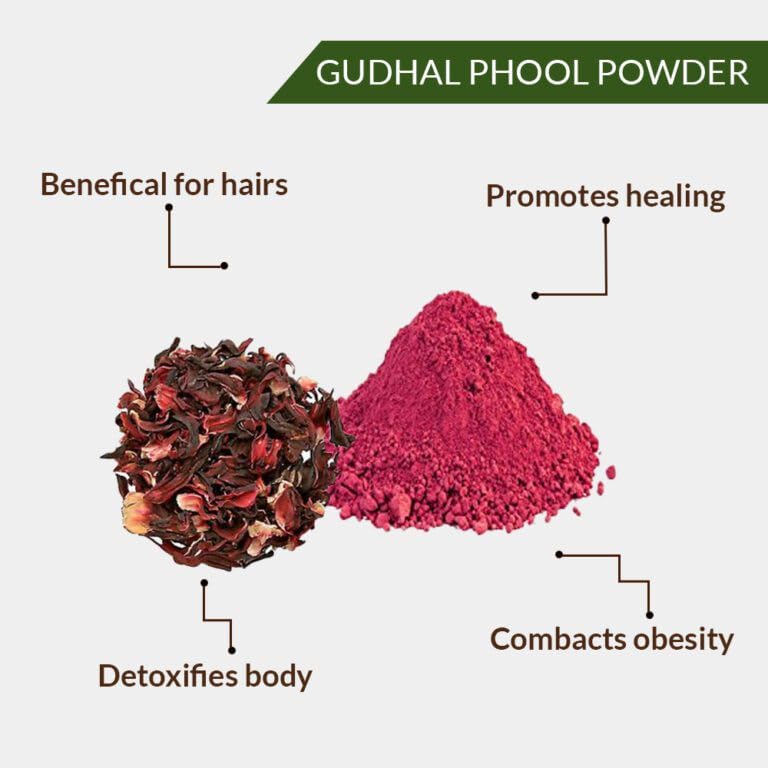Chitra's Herbal Hair Care - Bhringraj & Hibiscus Powder Combo for Hair Growth & Nourishment (2-Pack) | Natural Ayurvedic Treatment for Dry, Damaged Hair & Scalp Health | Perfect for DIY Hair Masks & Herbal Hair Care Routines