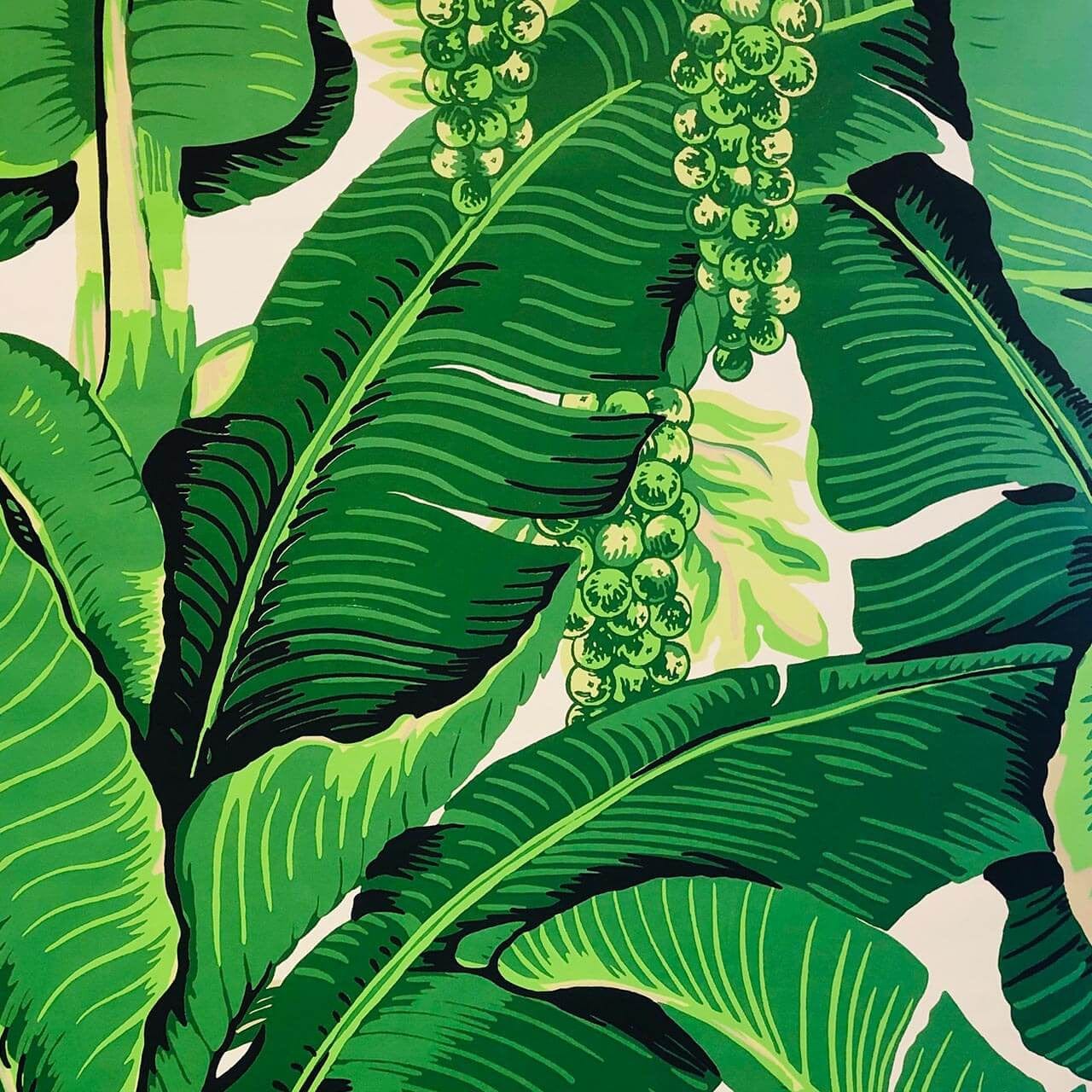Braziliance Premium Outdoor Fabric - Waterproof, UV Resistant, Durable for Patio Furniture, Cushions, and Awnings - Perfect for Backyard, Garden, and Poolside Use