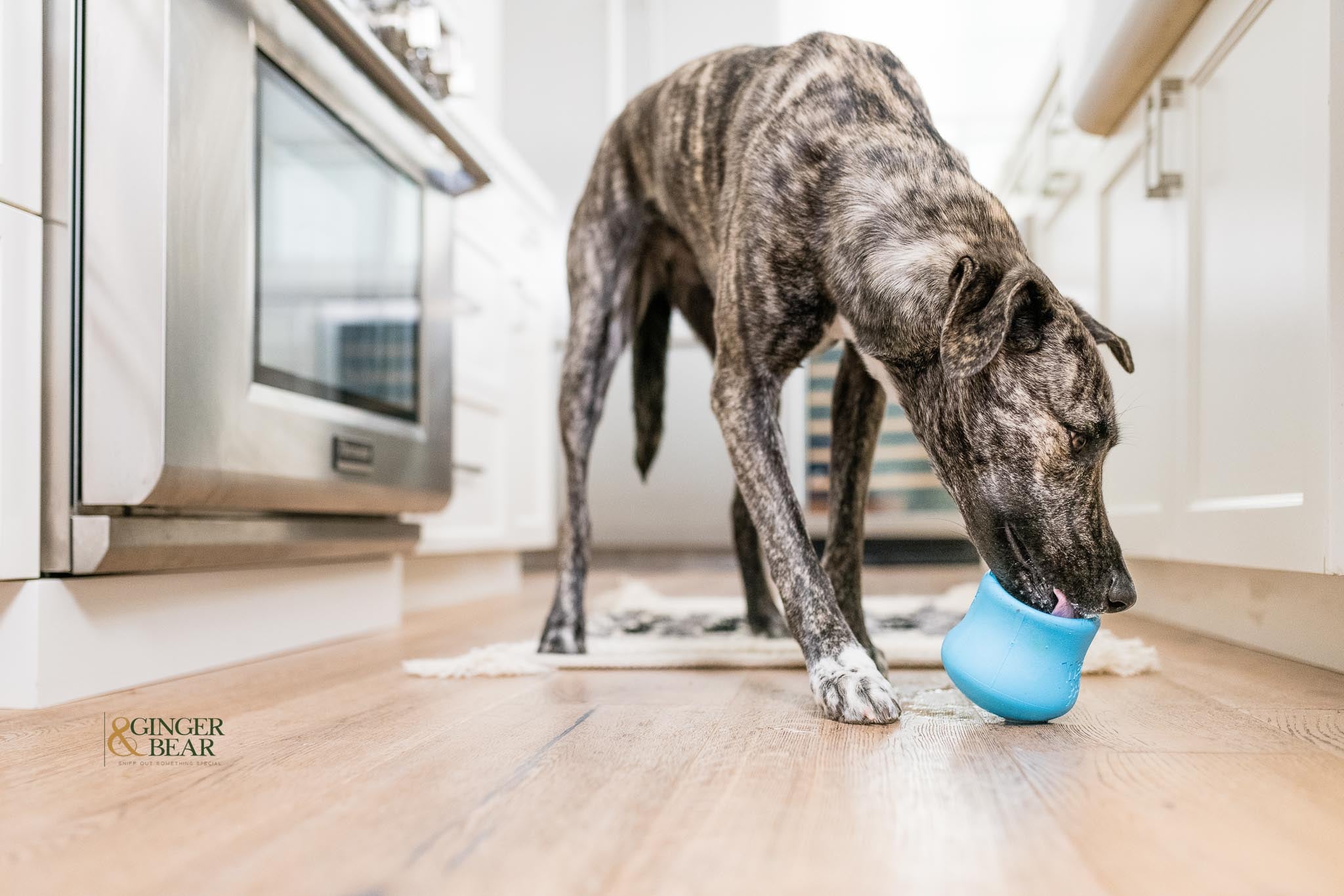 Interactive Puzzle Dog Toy - Food Dispensing Chew Toy for Mental Stimulation - Durable Zogoflex Toppl for Small & Large Dogs - Perfect for Boredom Relief & Slow Feeding at Home or Outdoors