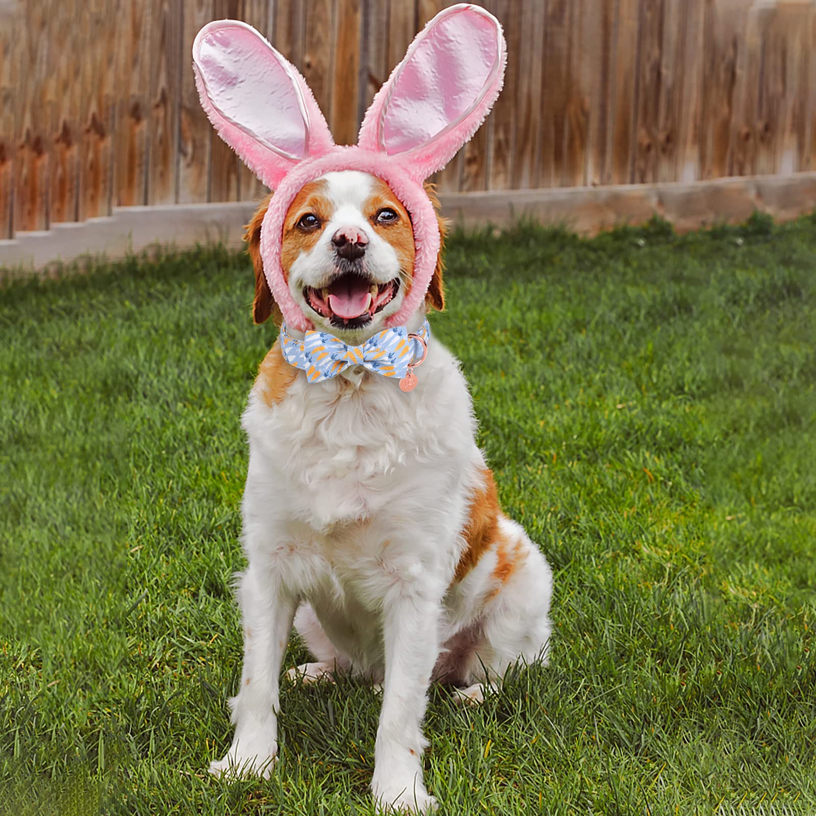 Easter Dog Collar with Bow Tie - Adjustable Cotton Pet Collar for Large Dogs, Cute Carrot Design with Metal Buckle - Perfect Easter Gift for Boy & Girl Dogs (Blue, Size L) - Great for Easter Photos, Parties & Holiday Outfits