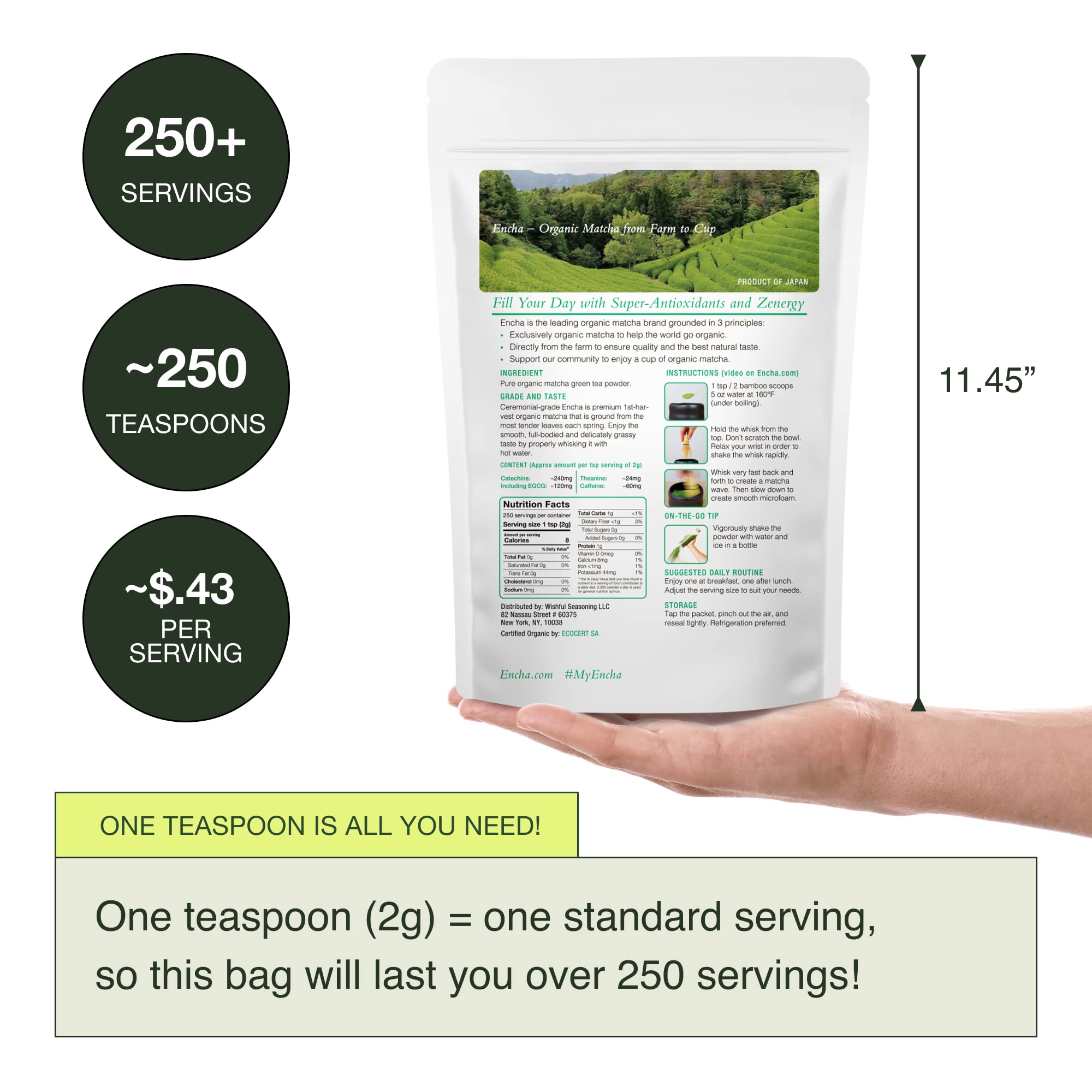 Encha Latte Grade Matcha - First Harvest Organic Unsweetened Green Tea Powder from Uji, Japan (500g / 1lb) | Premium Ceremonial Grade for Lattes, Smoothies, Baking & Tea | Rich in Antioxidants, Caffeine & L-Theanine | Energy Boost & Relaxation