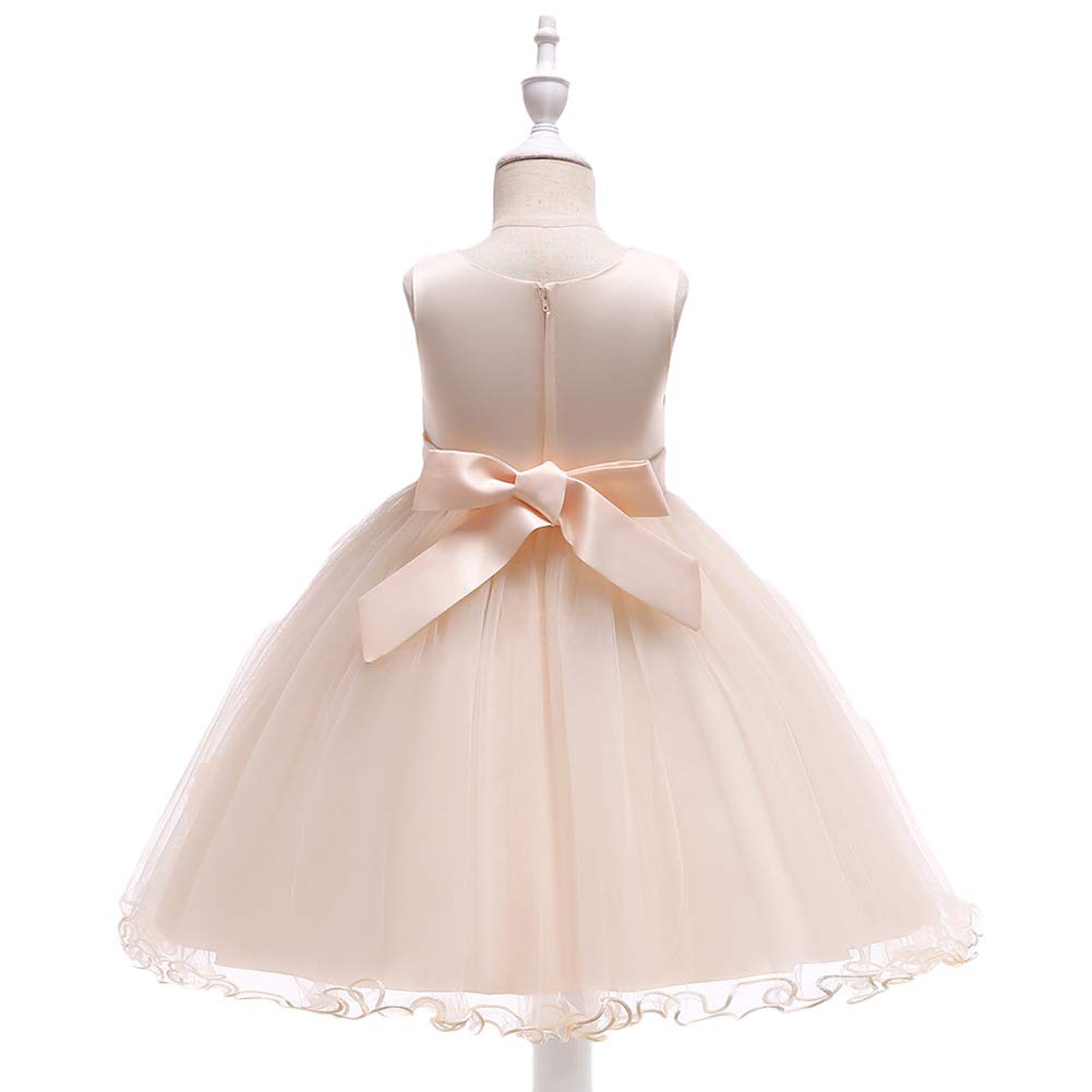 Flower Baby Girls Princess Dress - Embroidered Wedding Party Birthday Pageant Prom Gowns for Formal Occasions | Perfect for Weddings, Birthday Parties, Pageants & Special Events