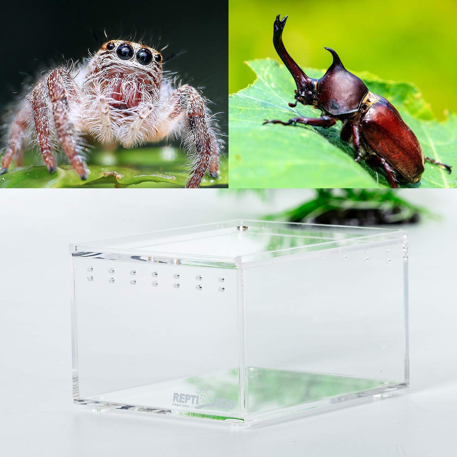 REPTI ZOO Magnetic Acrylic Reptile Terrarium - 4.1x3.3x2.5 Inch Nano Enclosure for Tarantulas, Scorpions, Lizards, Isopods & Insects | Perfect Breeding Box for Mantis, Roaches & Invertebrates | Ideal for Pet Habitat, Classroom Observation & Science Projects