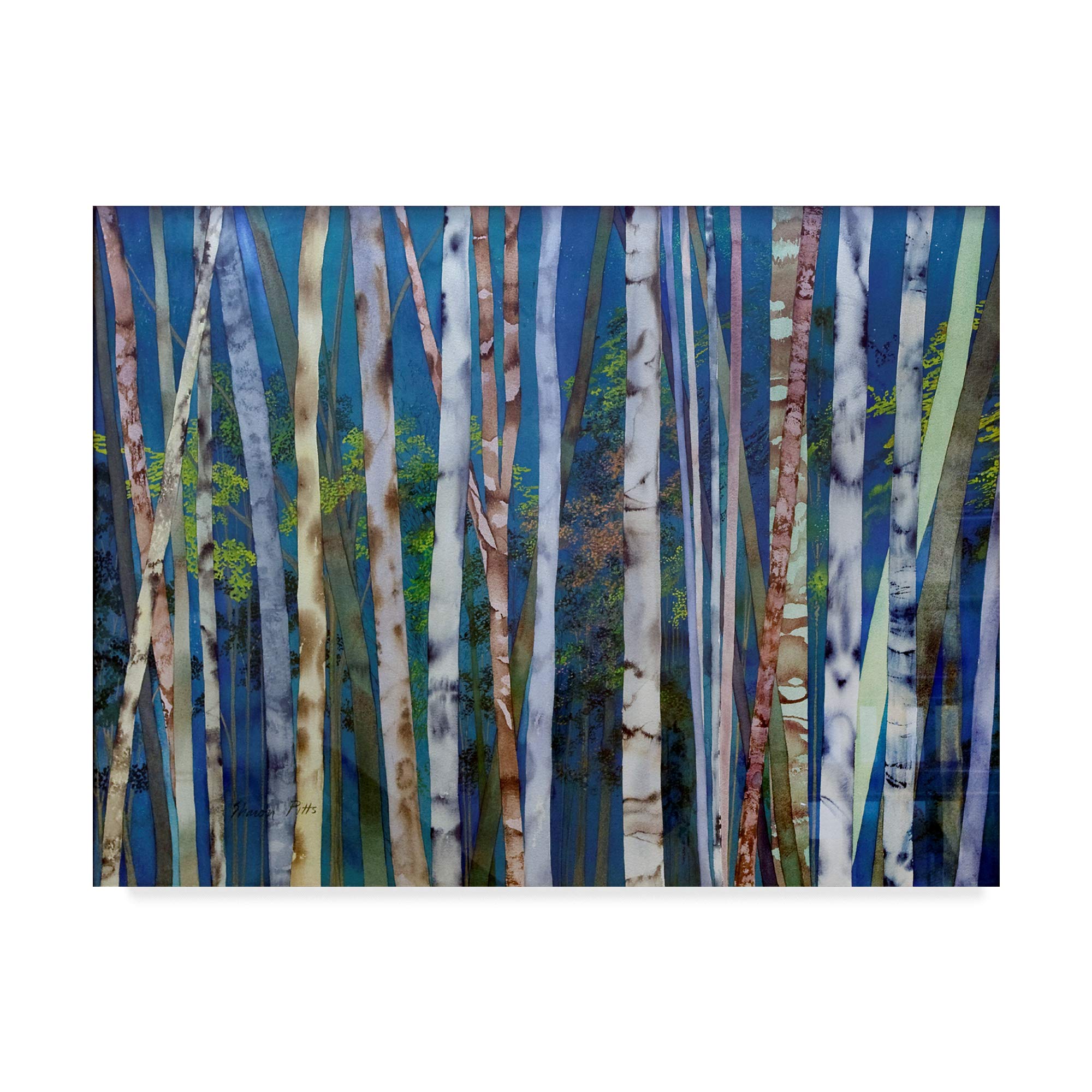 Trademark Fine Art 35x47 Inch Mystery of Trees Birches by Sharon Pitts - Stunning Landscape Wall Art for Living Room, Bedroom & Office Decor