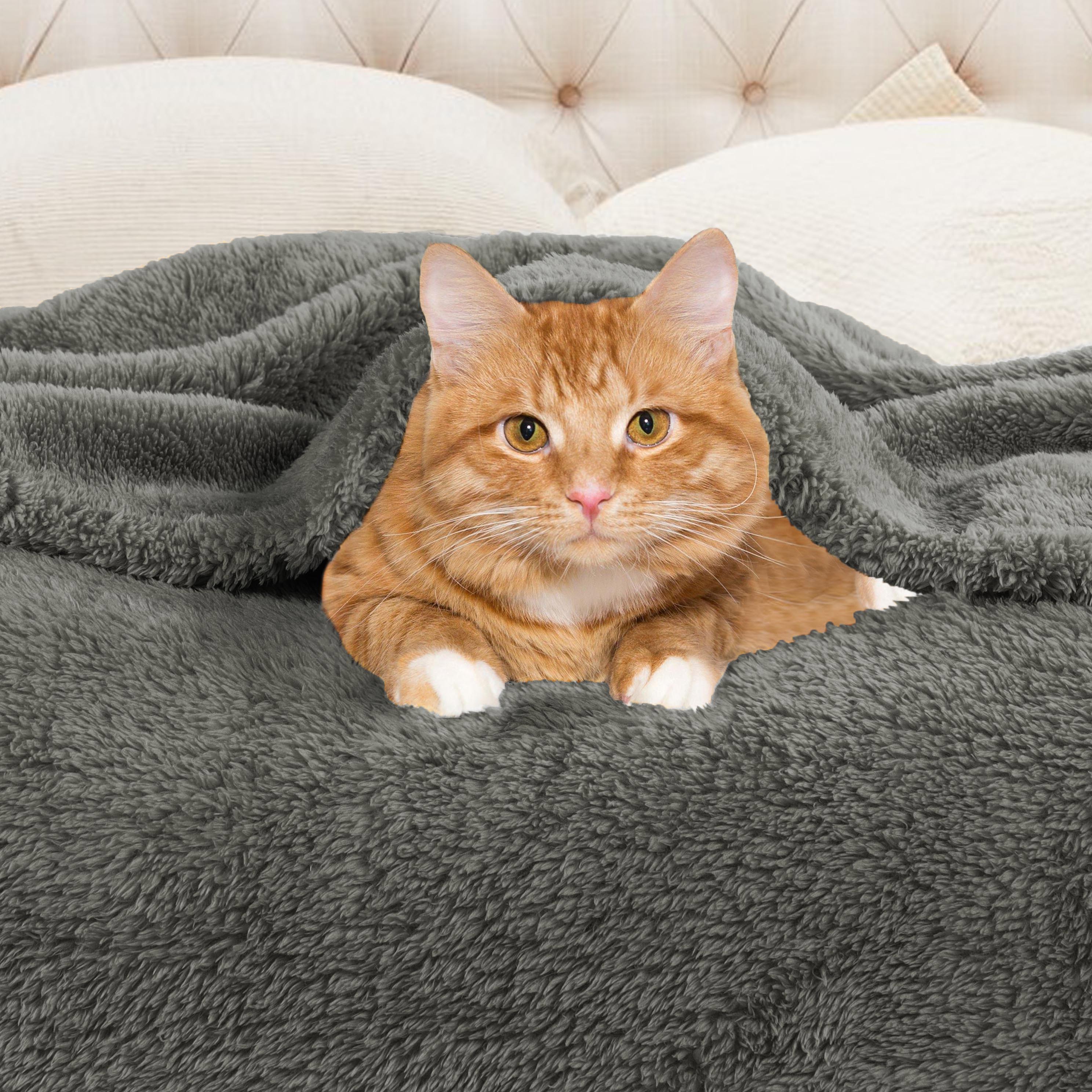Classic Solid Fleece Plush Medium Weight Fluffy Soft Blanket - Cozy & Warm for Bed, Sofa, Travel & Gifts | Ultra-Soft Throw Blanket for All Seasons