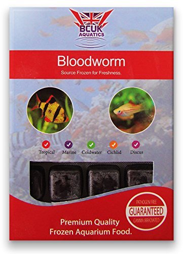 BCUK Frozen Fish Food Bloodworm Blister Pack 100g x5 - High Protein Aquarium Fish Food for Tropical Fish, Betta, Goldfish - Perfect for Daily Feeding & Enhancing Fish Color