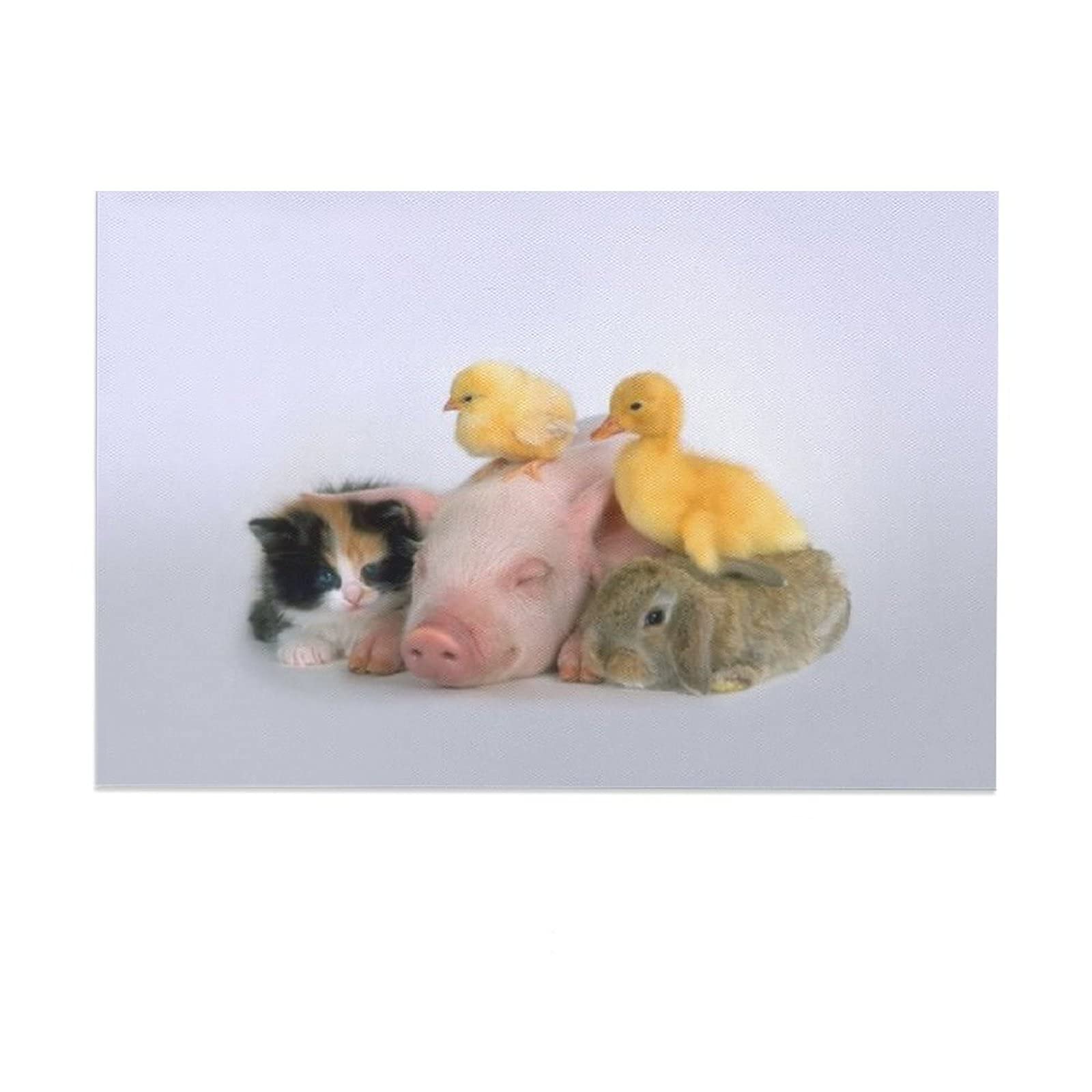 Cute Animal Canvas Wall Art - Pig, Duckling, Chicken, Cat Print Painting for Living Room, Bedroom, Office Decor | Nursery, Kids Room, Gift Idea