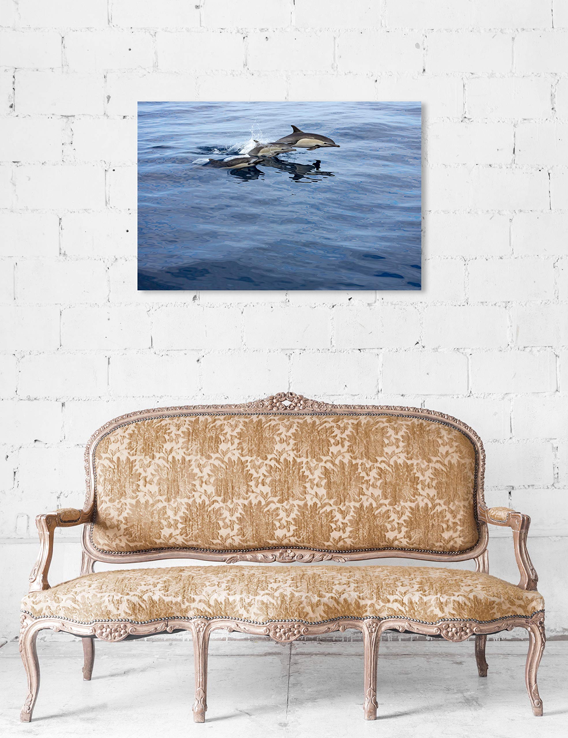 Oliver Gal Artist Co. Nautical Coastal Wall Art Canvas Print - 'Common Dolphin Mexico by David Fleetham' - 36x24 Inch Gray Blue Ocean Themed Home Decor - Perfect for Beach House, Living Room & Office Wall Decoration