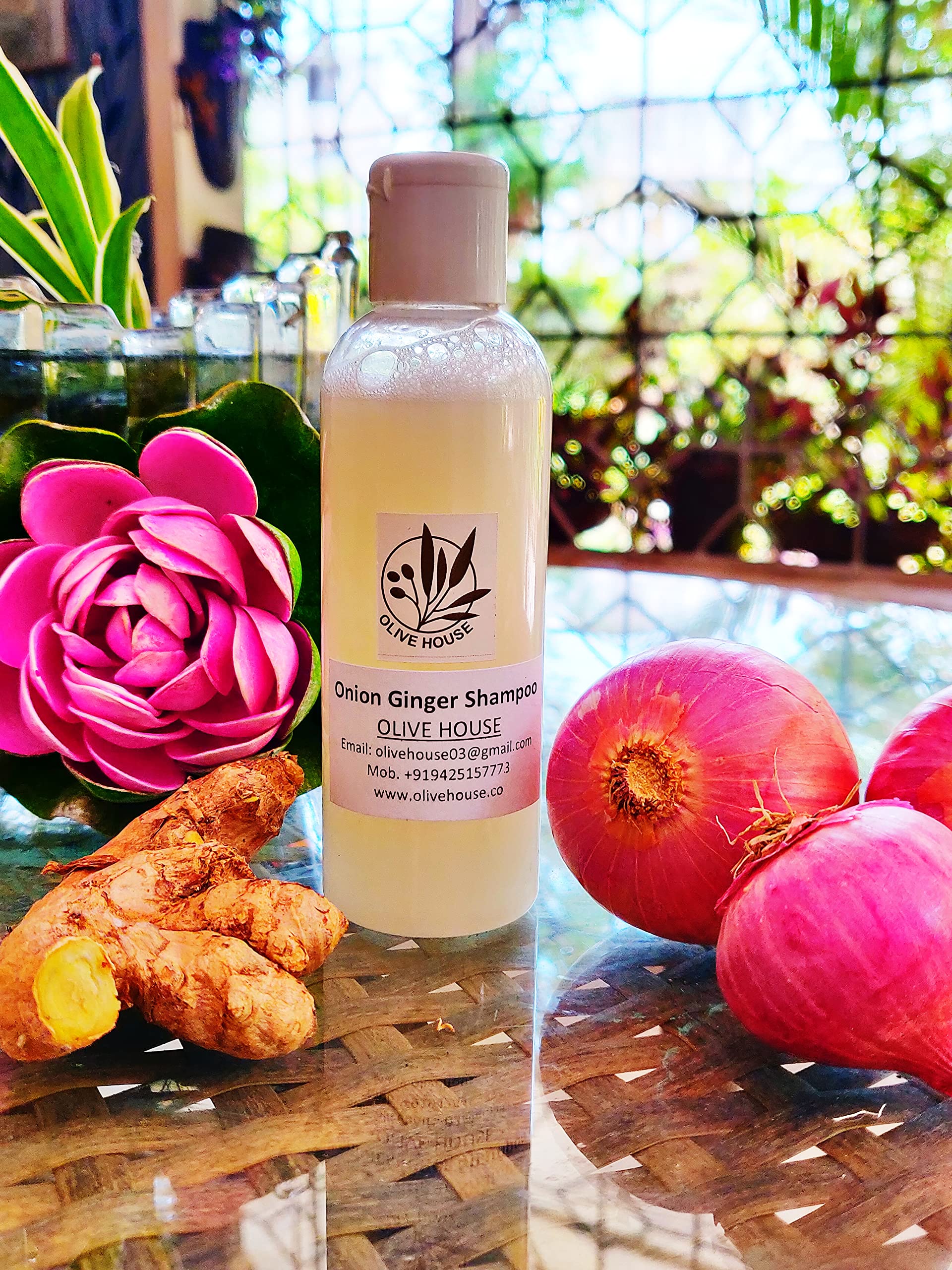 Olive House Ginger and Onion Oil Shampoo for Hair Growth & Scalp Care - 100ml - Natural Hair Loss Treatment for Thicker, Stronger Hair - Perfect for Daily Use & Damaged Hair Repair