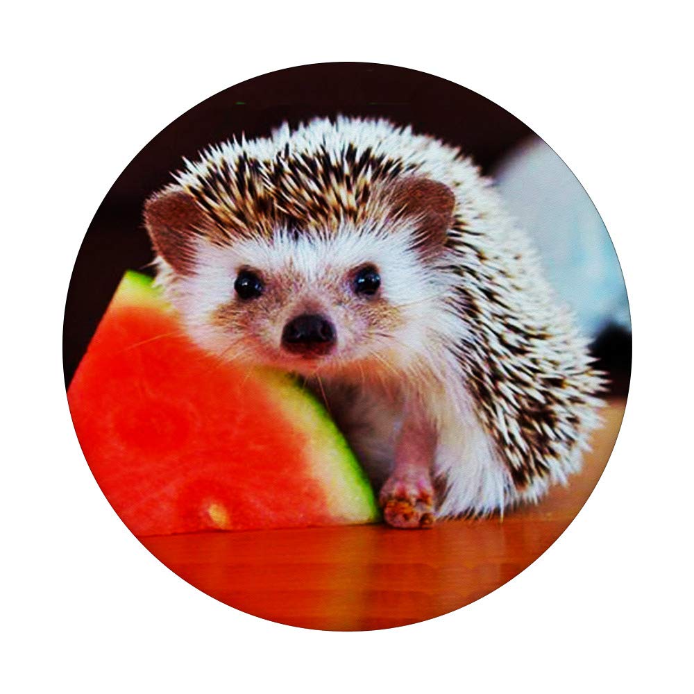 Adorable Hedgehog Pop Socket with Fruit Design - Swappable Phone Grip for iPhone, Samsung & Tablets - Perfect for Gaming, Selfies & Everyday Use