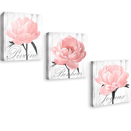 Pink Peony