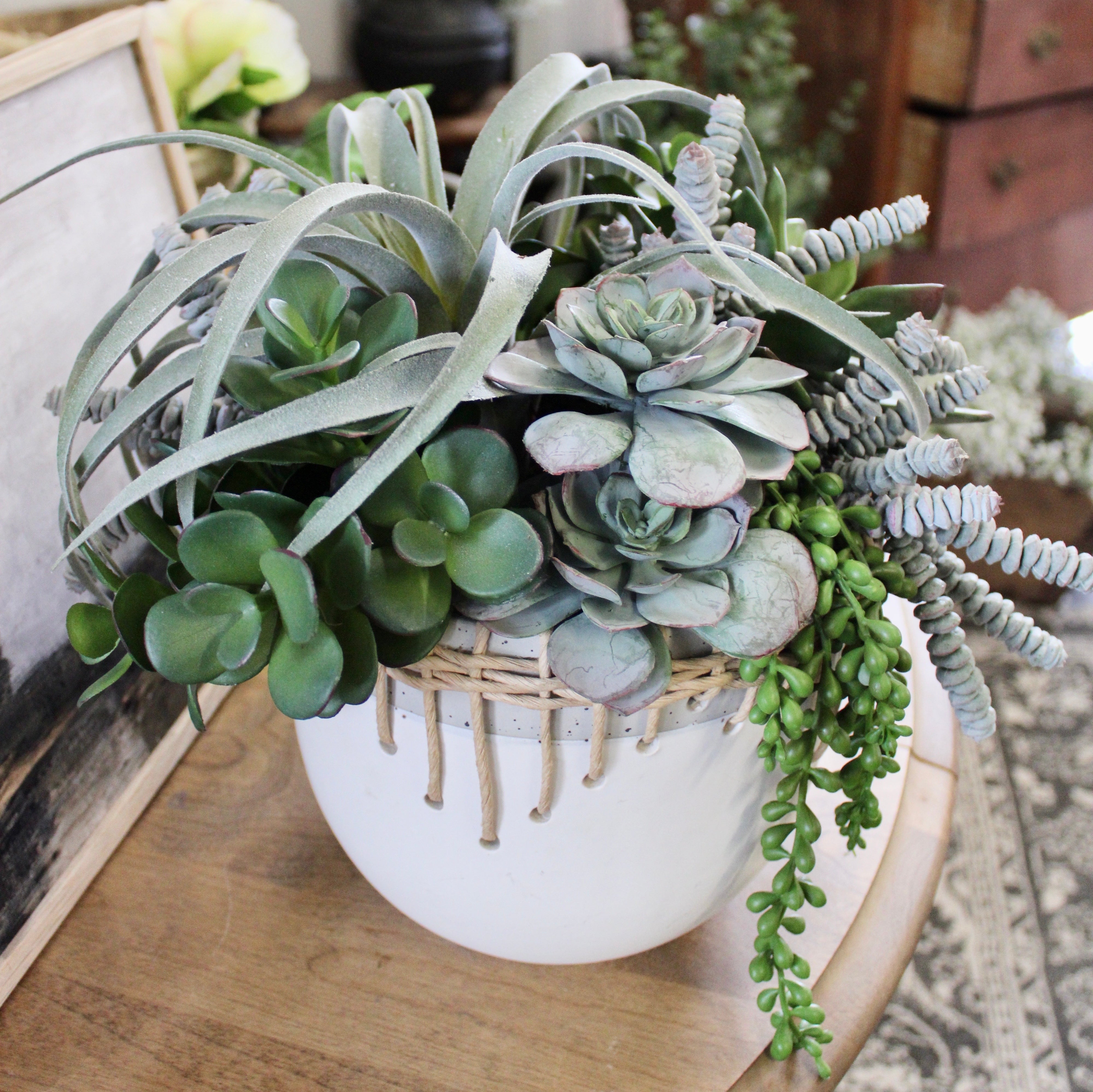 Air Plant & Triple Jade Mixed Succulent Arrangement - Low Maintenance Indoor Plants for Home Decor, Office Desk, and Gift Ideas