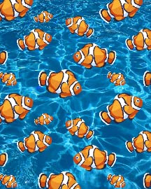 Clownfish