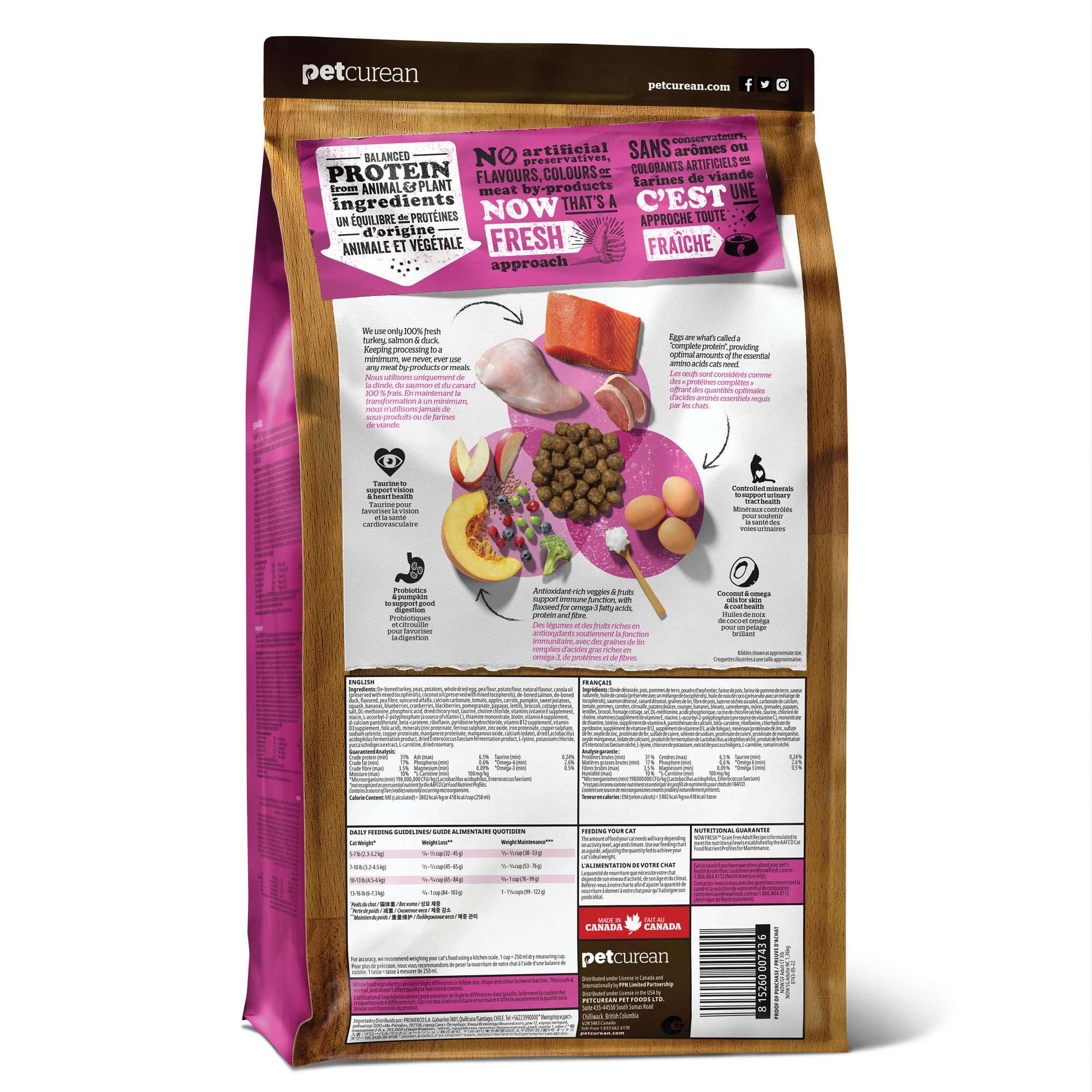 Now Fresh Grain-Free Dry Cat Food - Turkey, Salmon & Duck Recipe for Adult Cats - 16 lb Bag - High Protein Kibble with Real Meat & Fish - Perfect for Indoor & Outdoor Cats