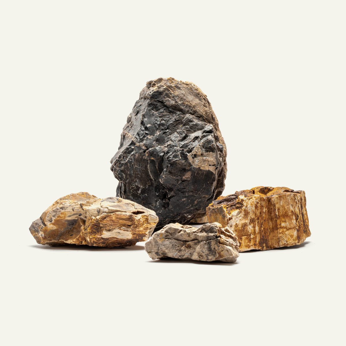 Natural Petrified Wood Stone - Unique Fossilized Wood for Home Decor, Jewelry Making & Collectibles | Perfect for DIY Crafts, Gifts & Interior Design