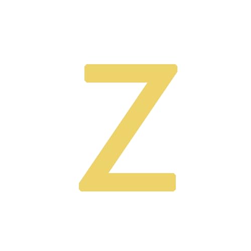 Z-1